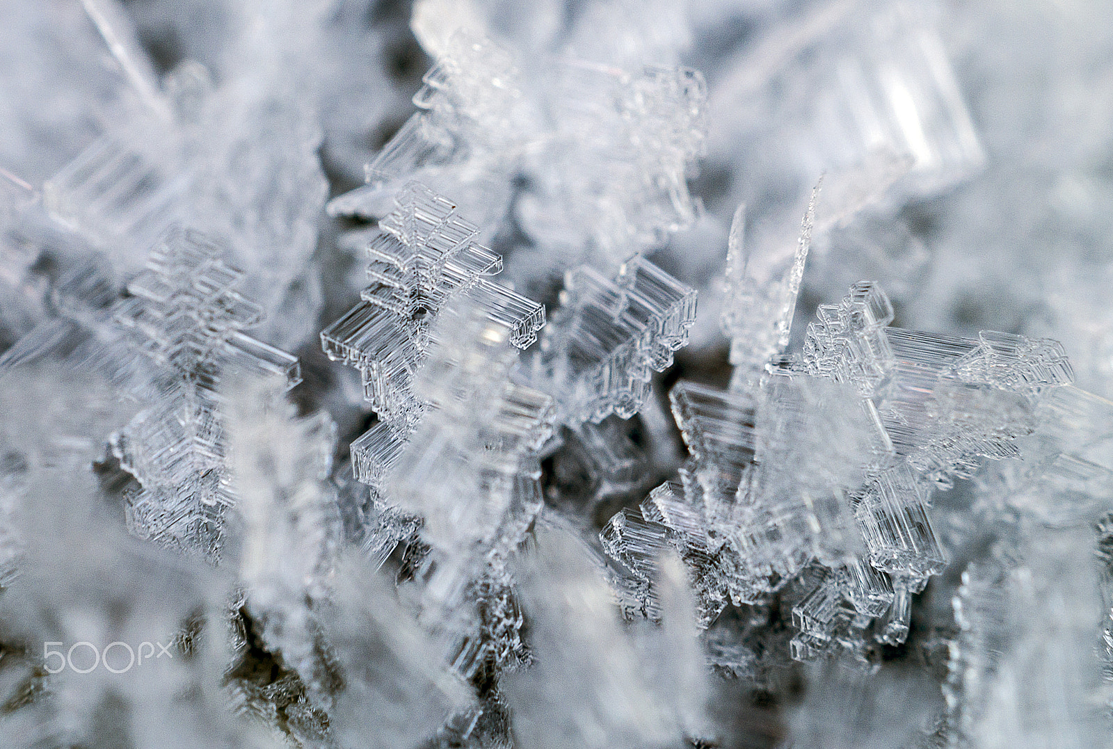 Sony SLT-A58 + Sony DT 30mm F2.8 Macro SAM sample photo. Ice crystals photography