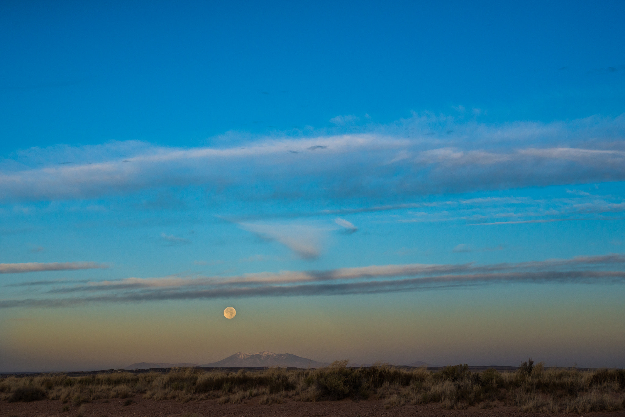 Nikon D610 + AF Zoom-Nikkor 35-70mm f/2.8D sample photo. 7am, arizona desert, 13 degrees photography