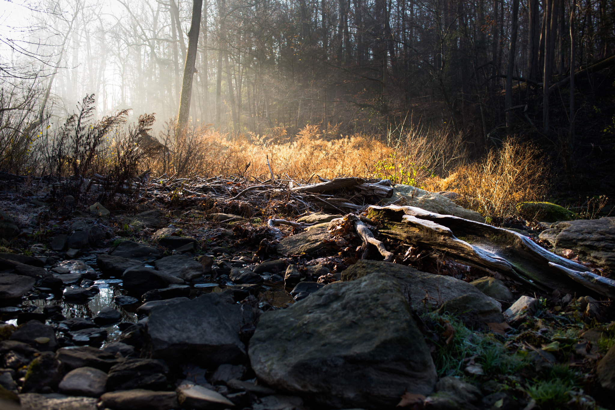 Nikon D610 + AF Zoom-Nikkor 35-70mm f/2.8D sample photo. My other home photography
