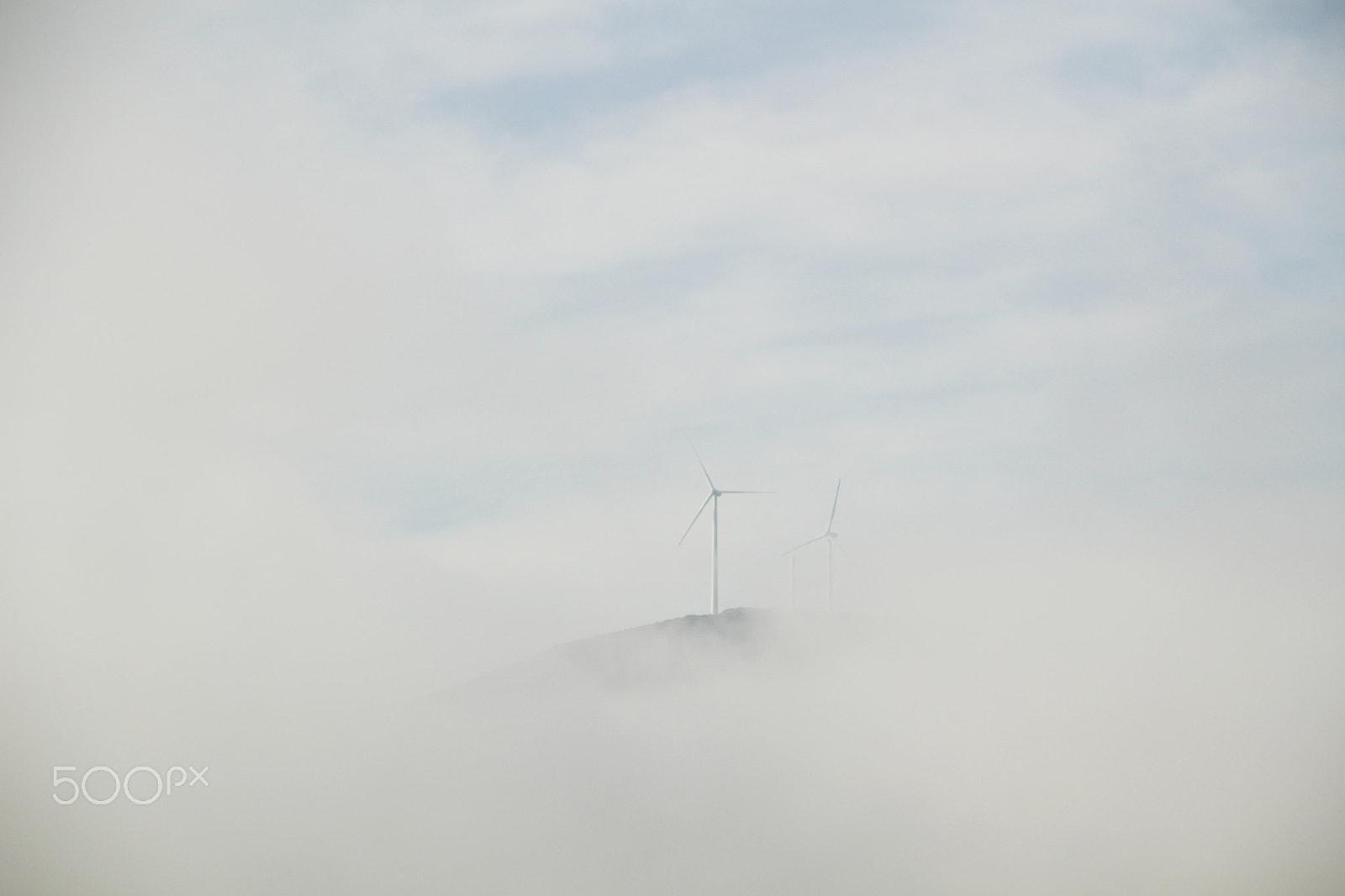 Sigma 17-70mm F2.8-4 DC Macro OS HSM sample photo. The sky is the limit i photography