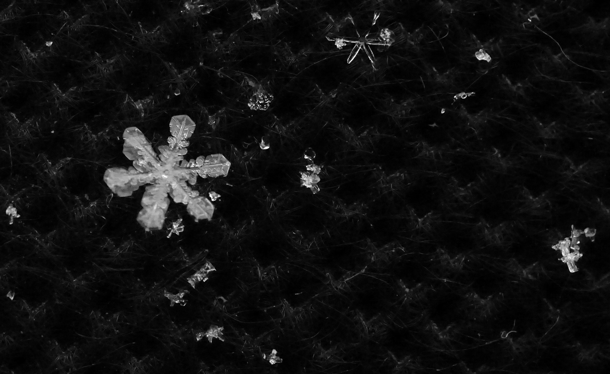 ZEISS Touit 50mm F2.8 sample photo. Snowflake photography