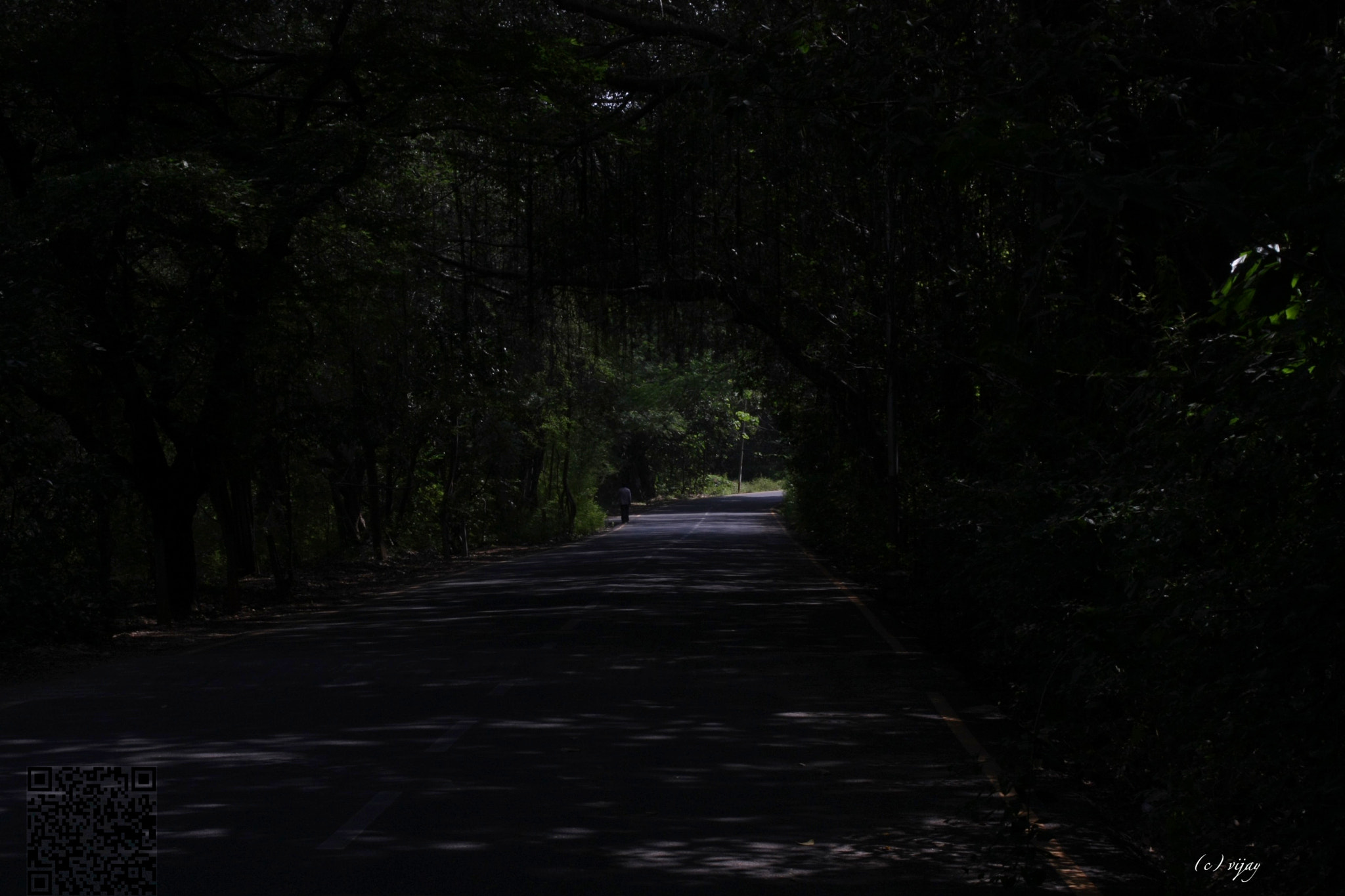 Canon EOS 450D (EOS Rebel XSi / EOS Kiss X2) sample photo. There is light at the end of the tunnel :) photography