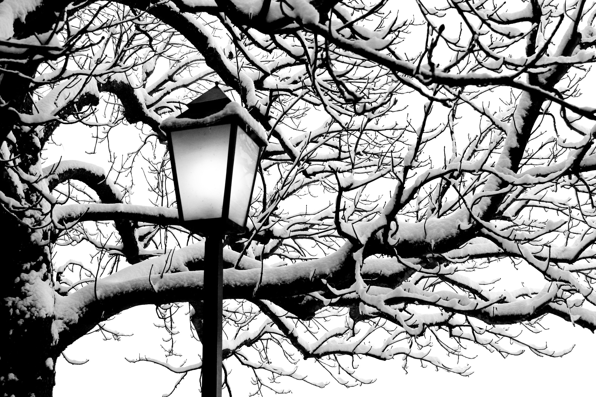 Canon EOS 700D (EOS Rebel T5i / EOS Kiss X7i) sample photo. Snowy photography