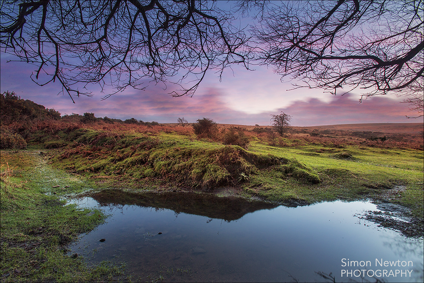 Canon EOS-1D X + Canon EF 16-35mm F2.8L USM sample photo. Moorlands at ventford photography