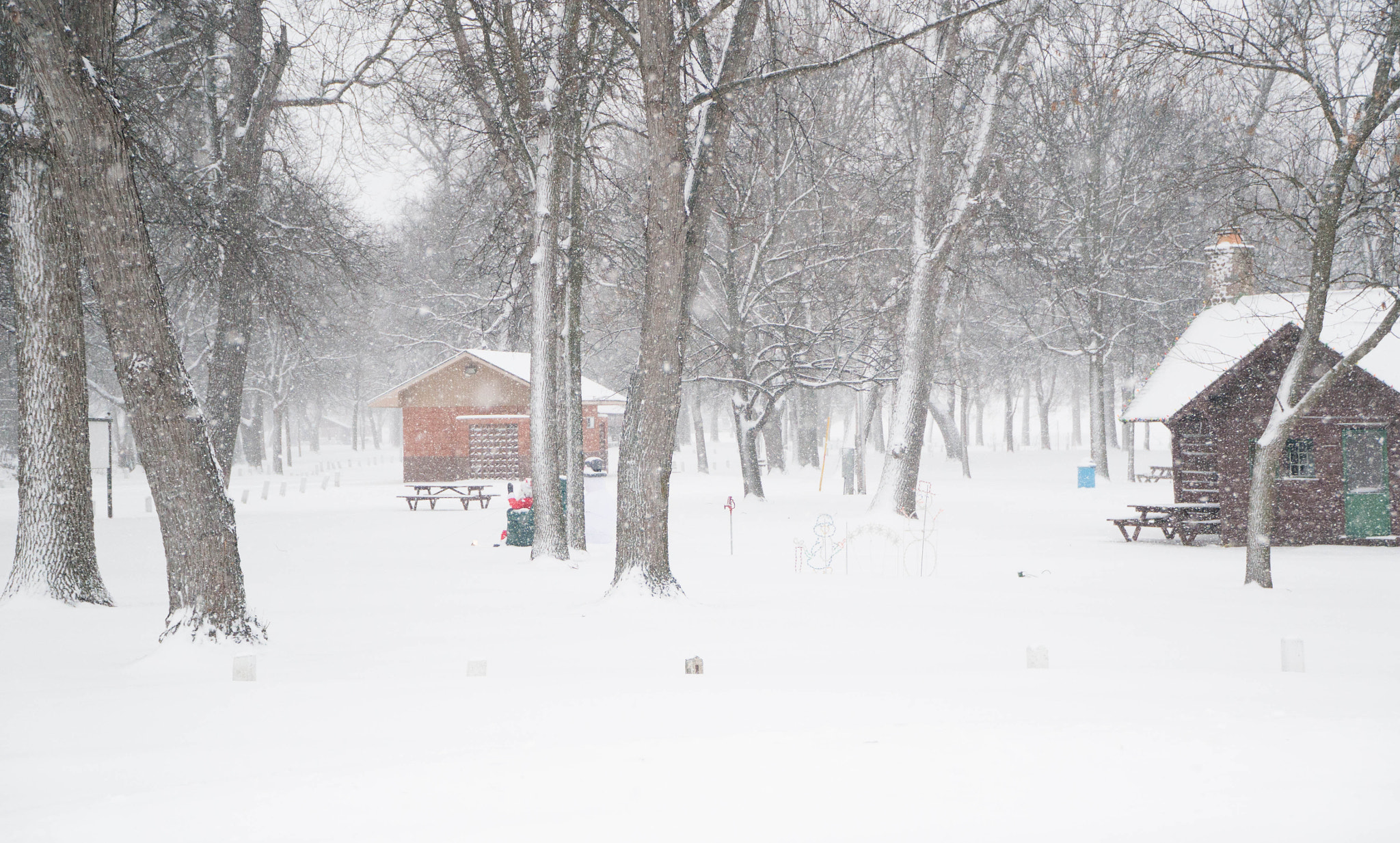 Sony Alpha NEX-6 + Sony E PZ 18-105mm F4 G OSS sample photo. Winter light photography