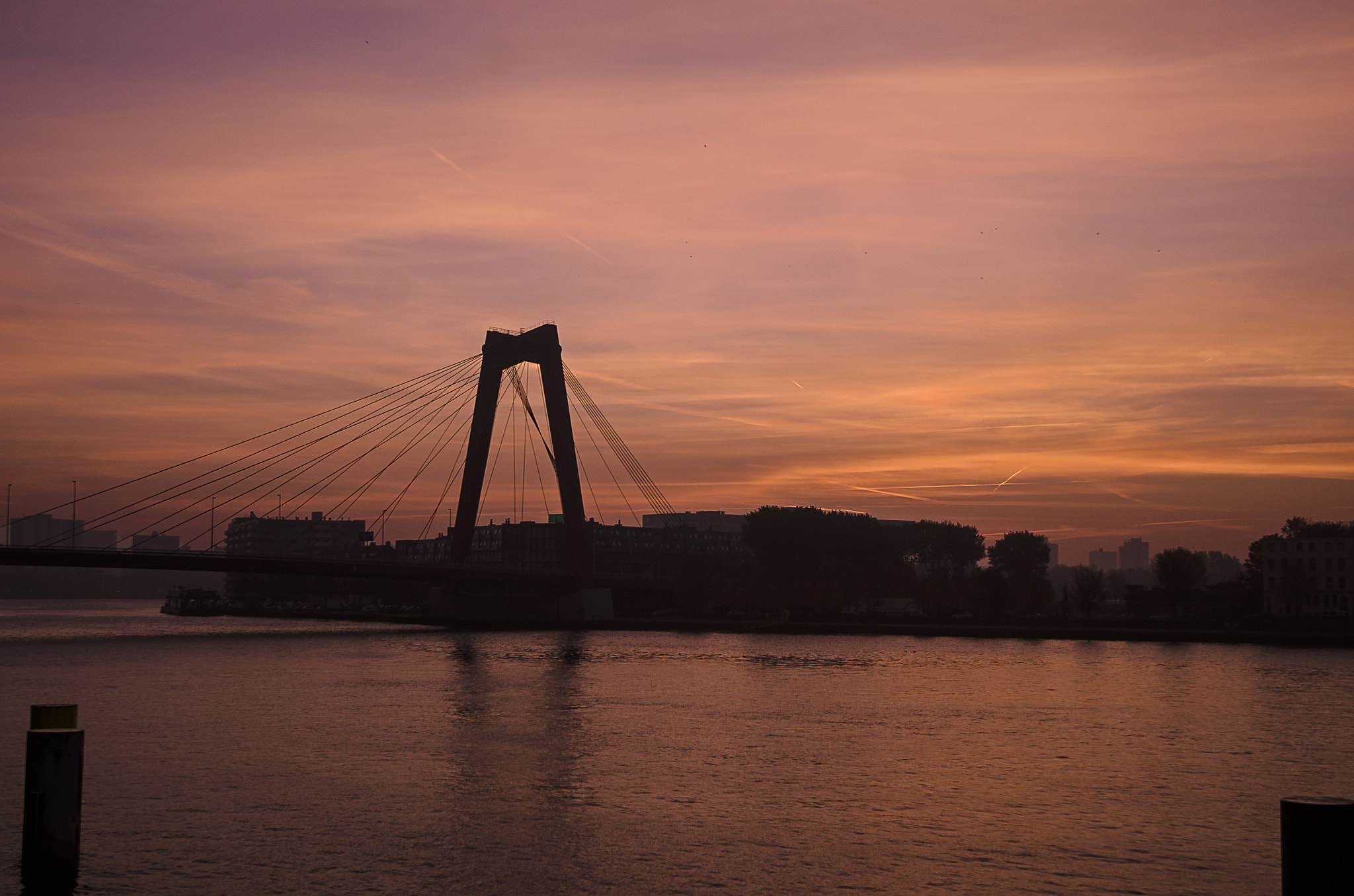 Nikon AF-S Nikkor 16-35mm F4G ED VR sample photo. Rotterdam photography