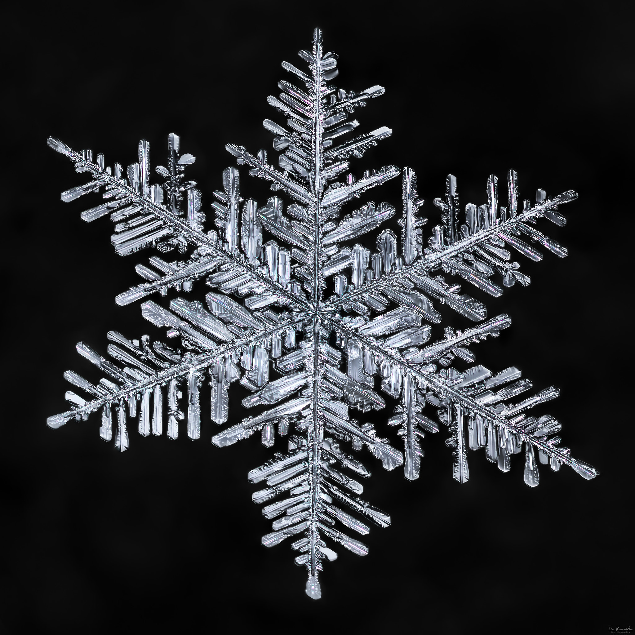 Canon MP-E 65mm F2.5 1-5x Macro Photo sample photo. Snowflake-a-day #34 photography