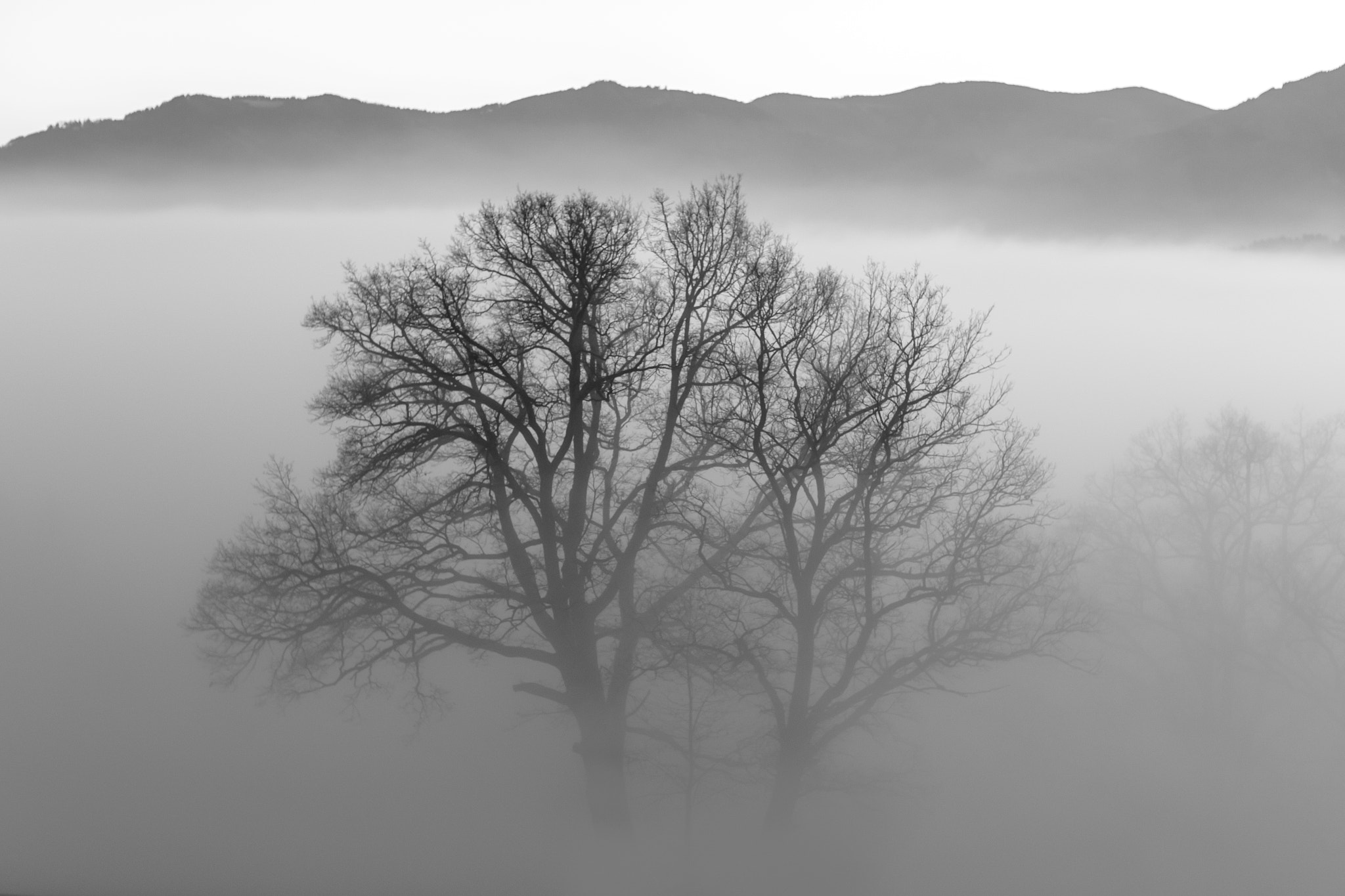 Canon EOS 6D + Canon EF 85mm F1.2 sample photo. Fog on the ground photography