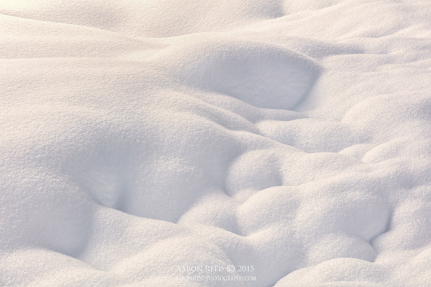Canon EOS 5DS R + Canon EF 70-200mm F4L USM sample photo. Powder photography