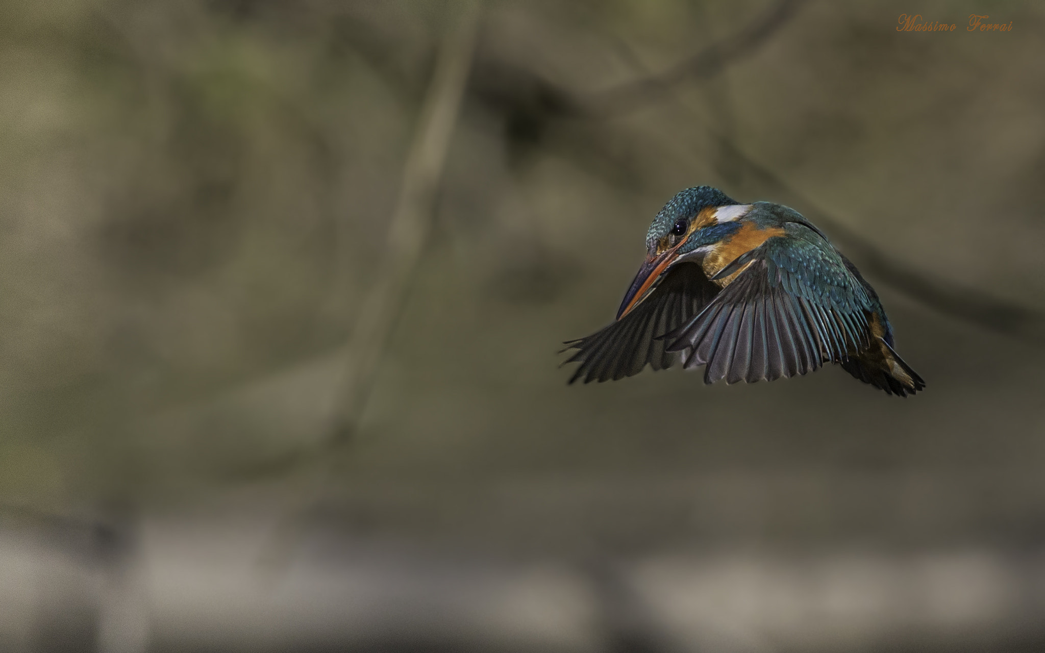Canon EF 300mm F2.8L IS USM sample photo. Fbeo photography