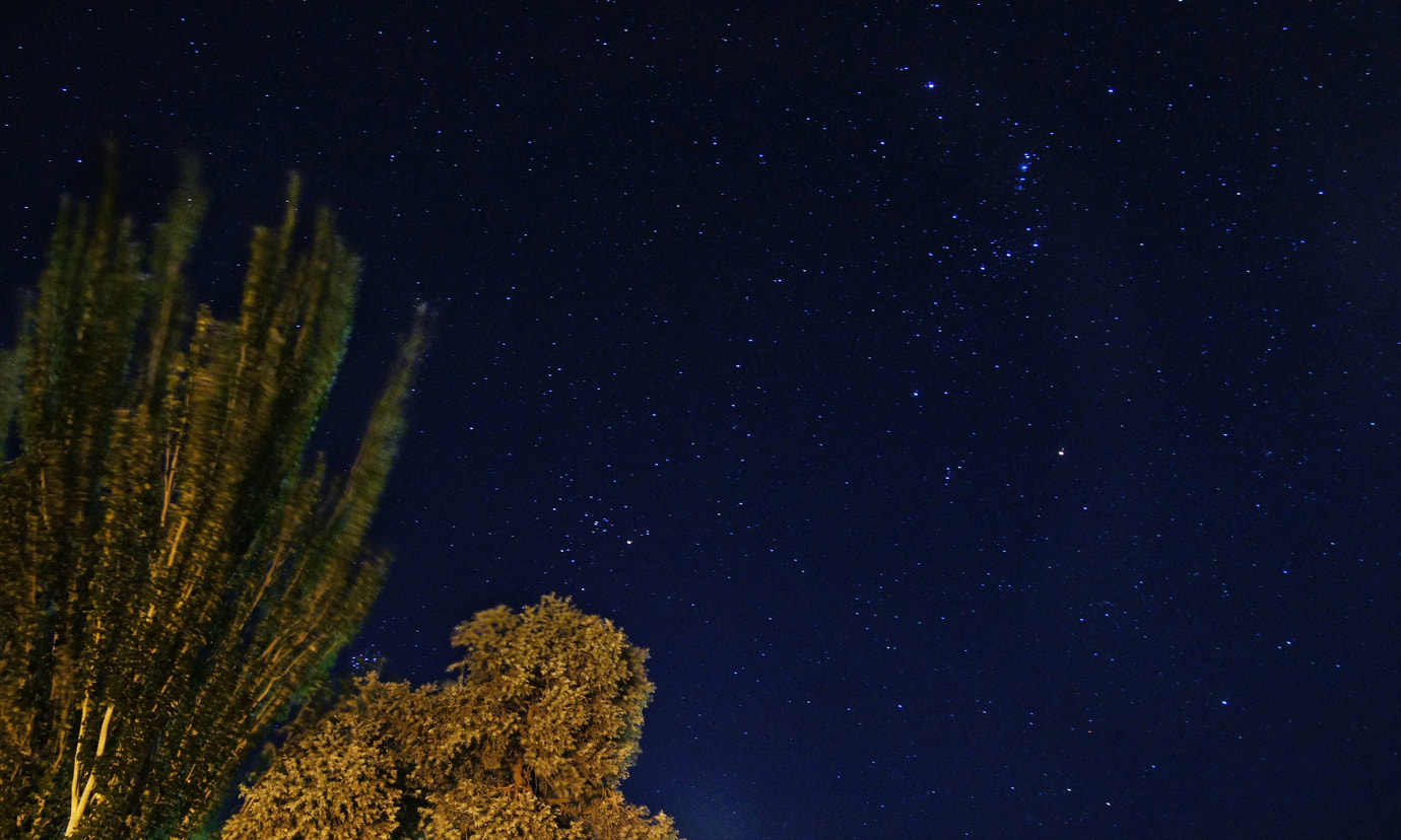 Sony Alpha DSLR-A580 sample photo. A night at the lake photography
