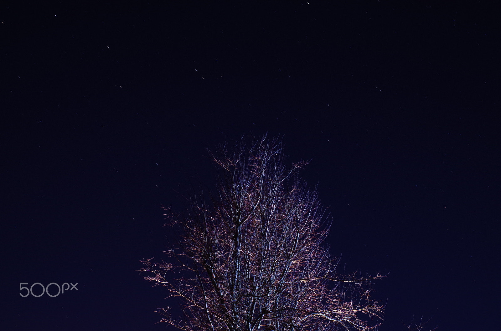 Pentax K-50 sample photo. Spacetree photography