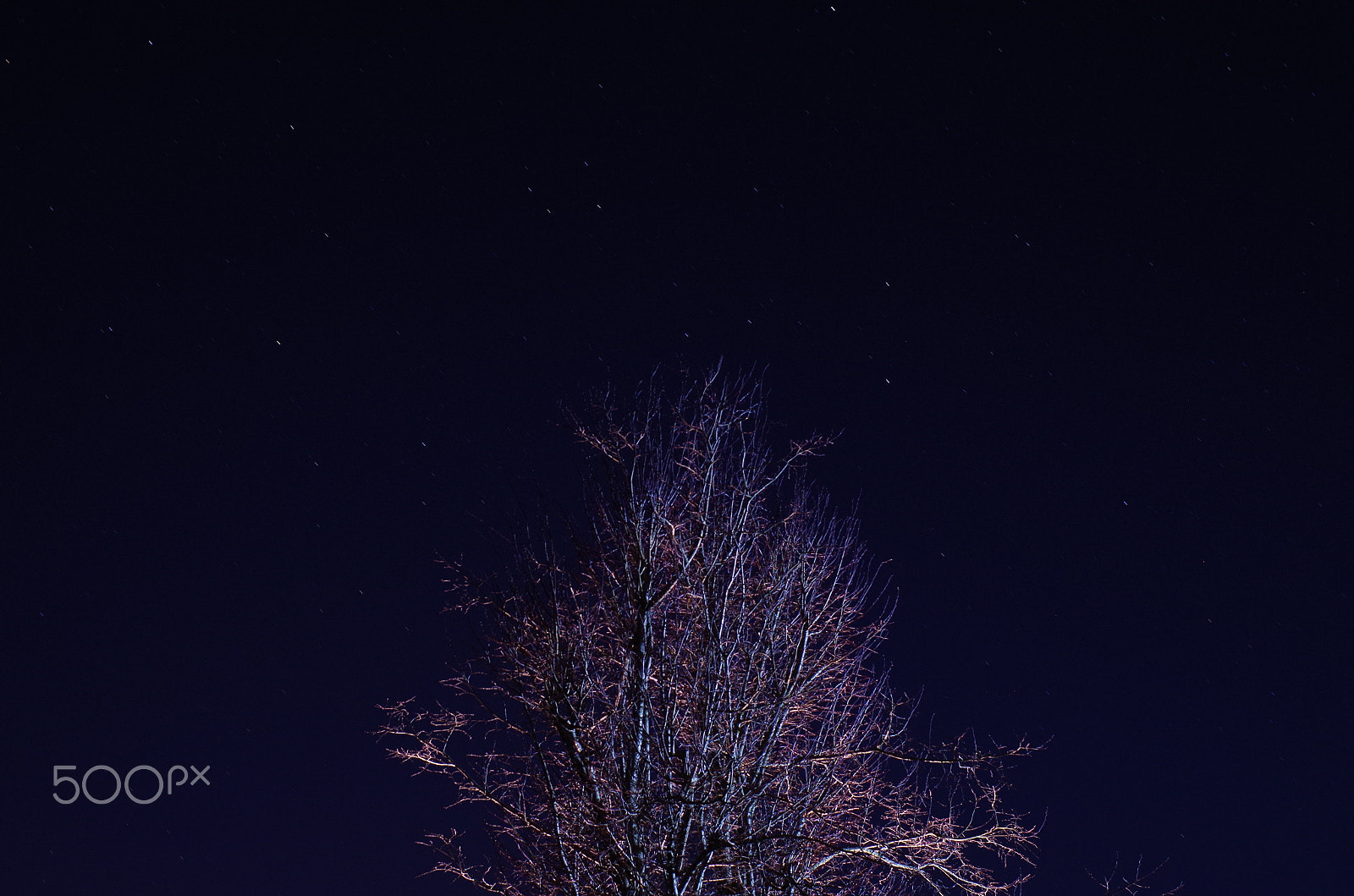 Pentax K-50 + Pentax smc FA 50mm F1.4 sample photo. Spacetree photography