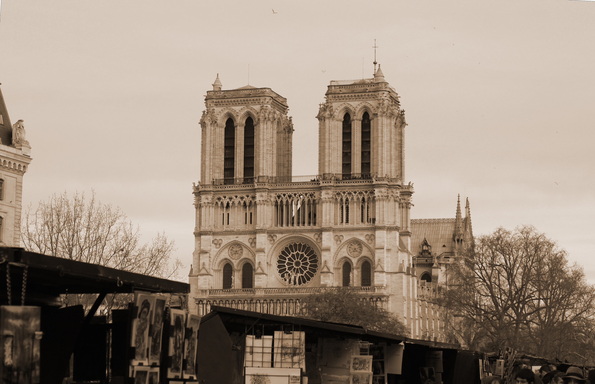 Canon EF 28-105mm f/3.5-4.5 USM sample photo. Cathédrale notre dame de paris photography