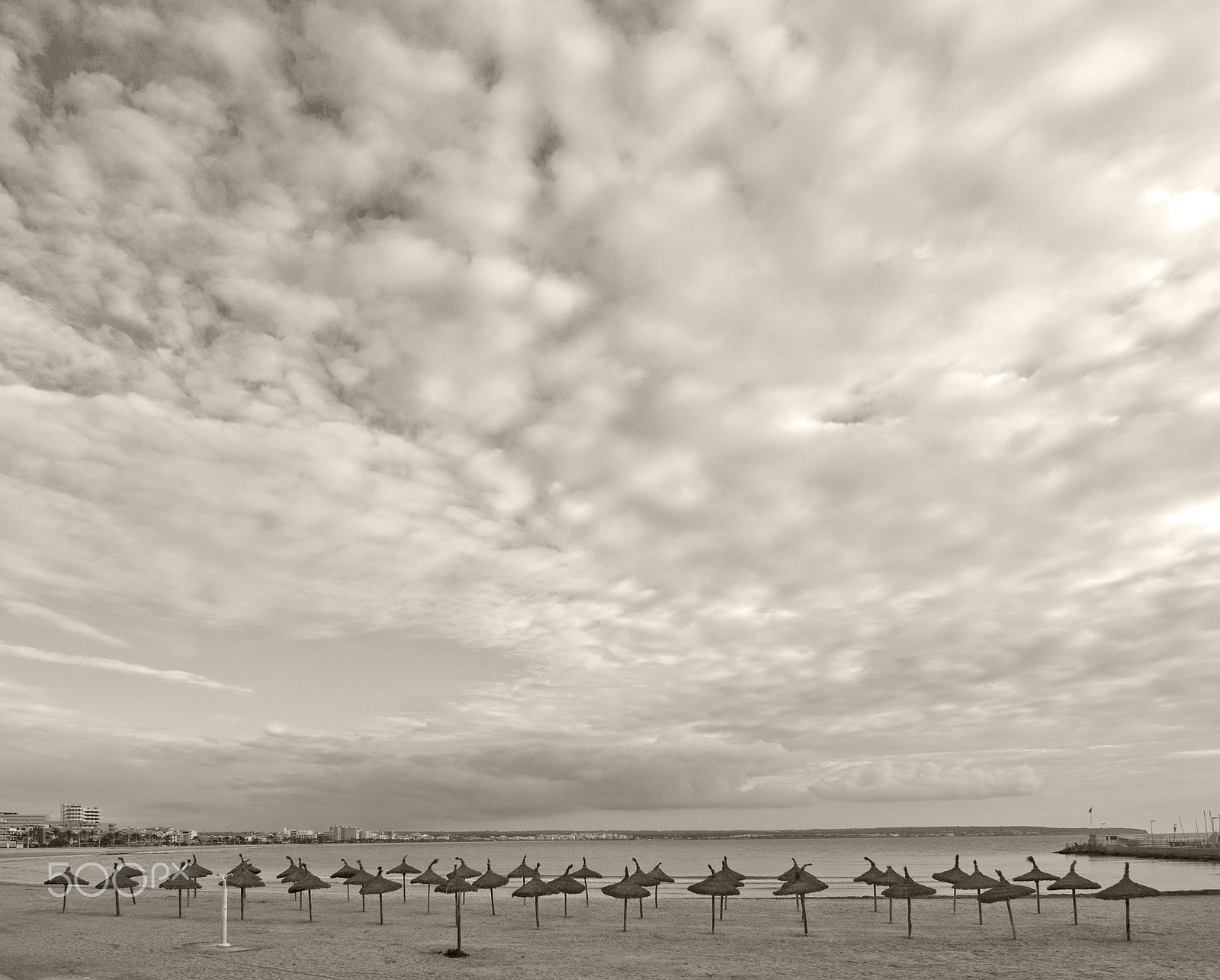 AF Zoom-Nikkor 24-50mm f/3.3-4.5D sample photo. Parasols on winter beach photography