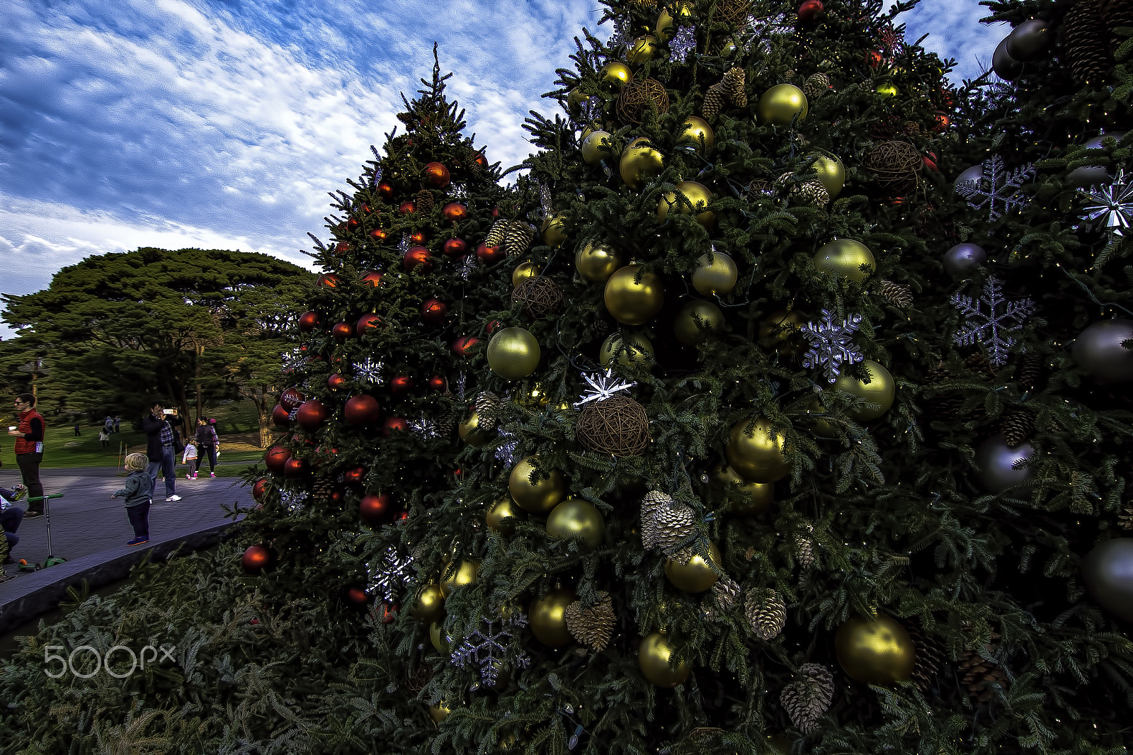 Canon EOS 1200D (EOS Rebel T5 / EOS Kiss X70 / EOS Hi) sample photo. Ornamental trees @ holiday train show photography