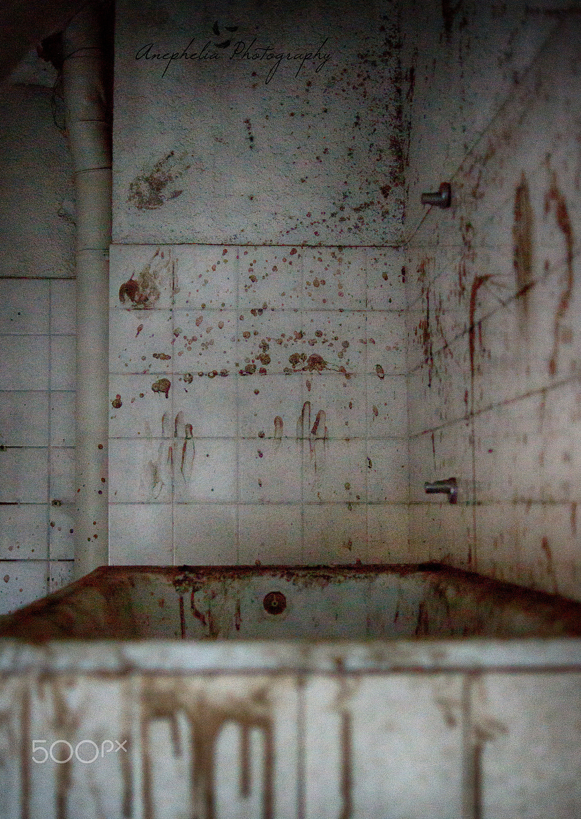 Sony SLT-A55 (SLT-A55V) + Sony DT 35mm F1.8 SAM sample photo. Crime scene photography