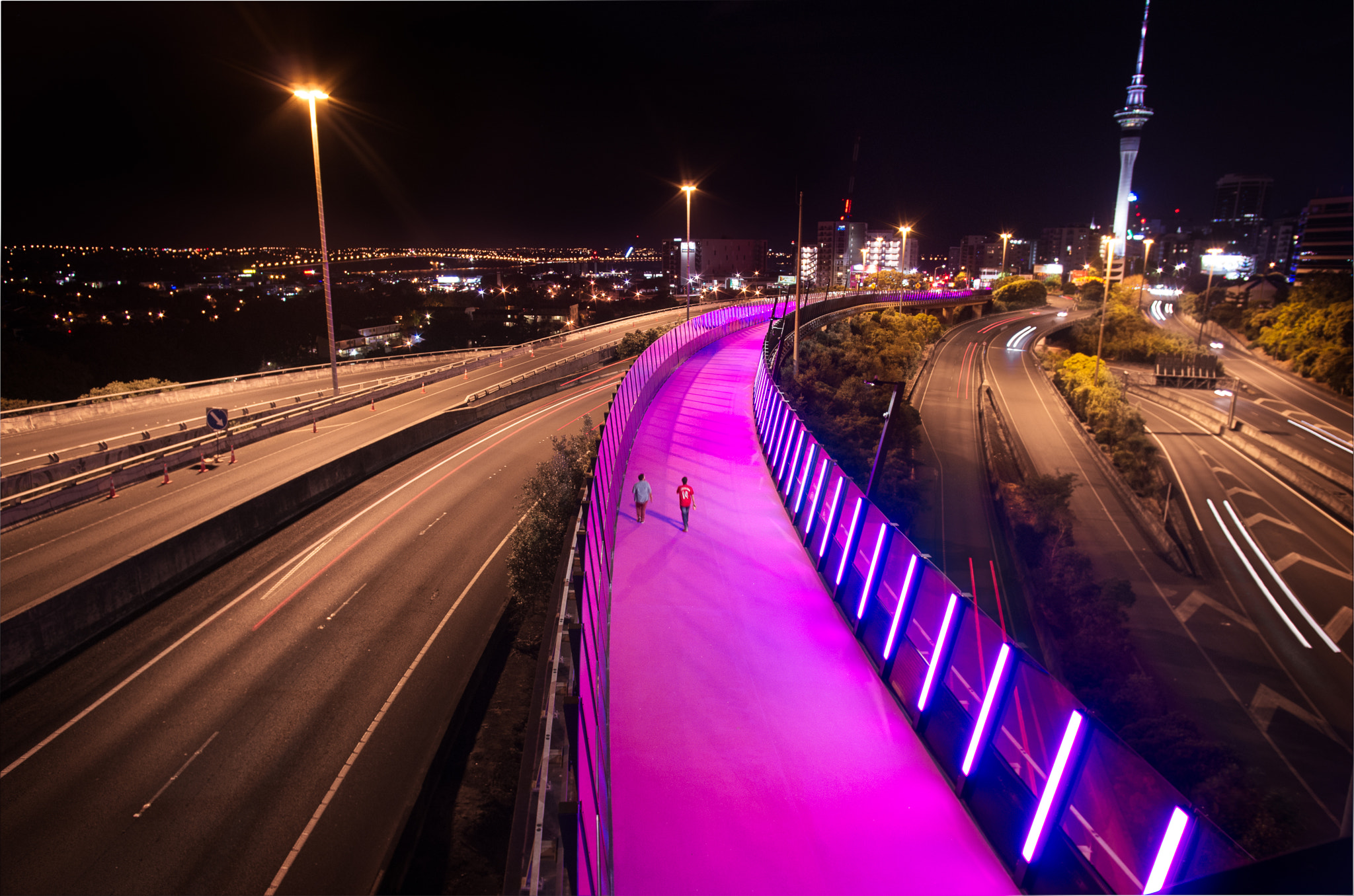 Pentax K-5 IIs sample photo. Auckland purple cycleway at night photography