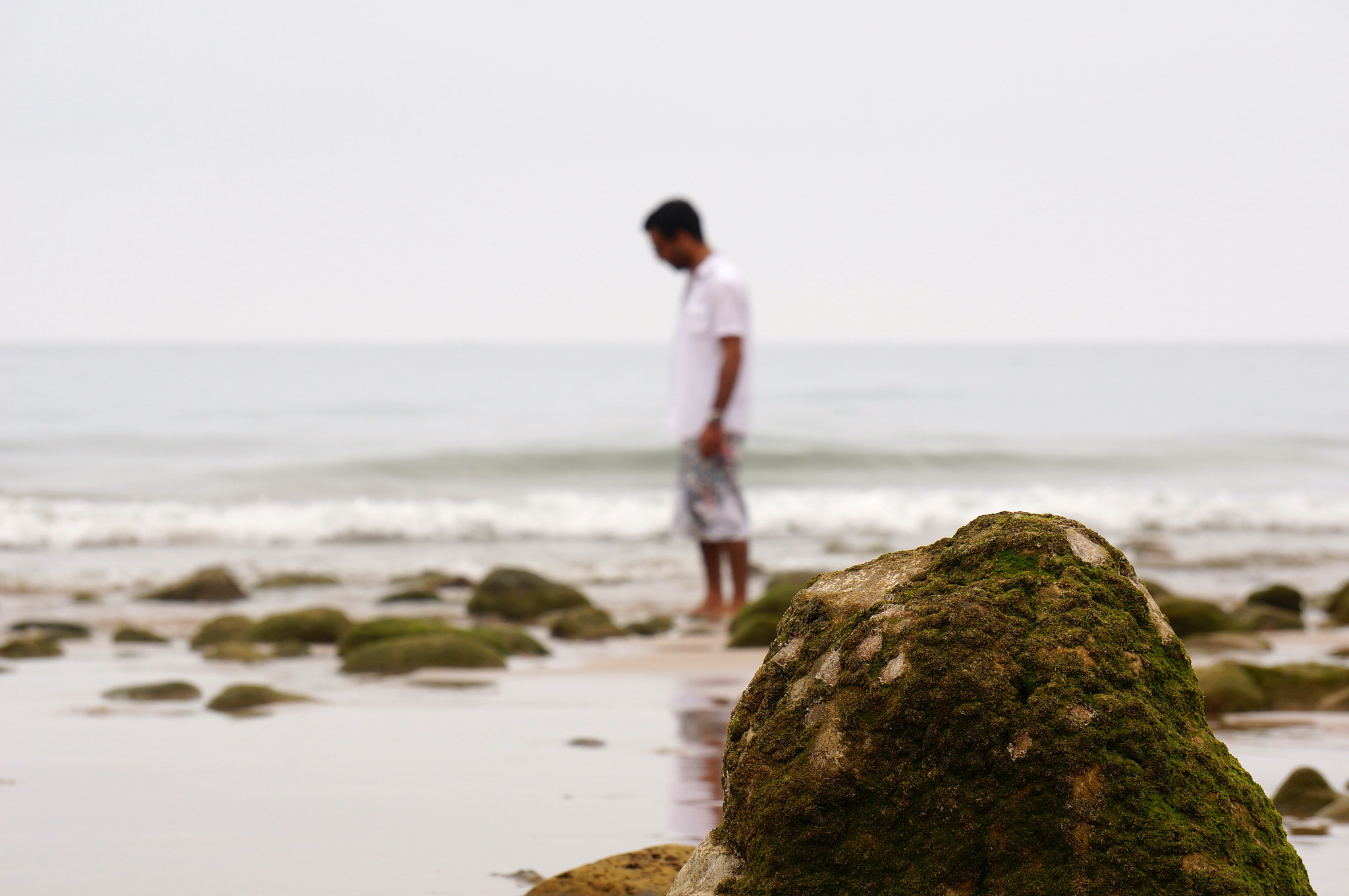 Sony E 55-210mm F4.5-6.3 OSS sample photo. Mossy beach photography