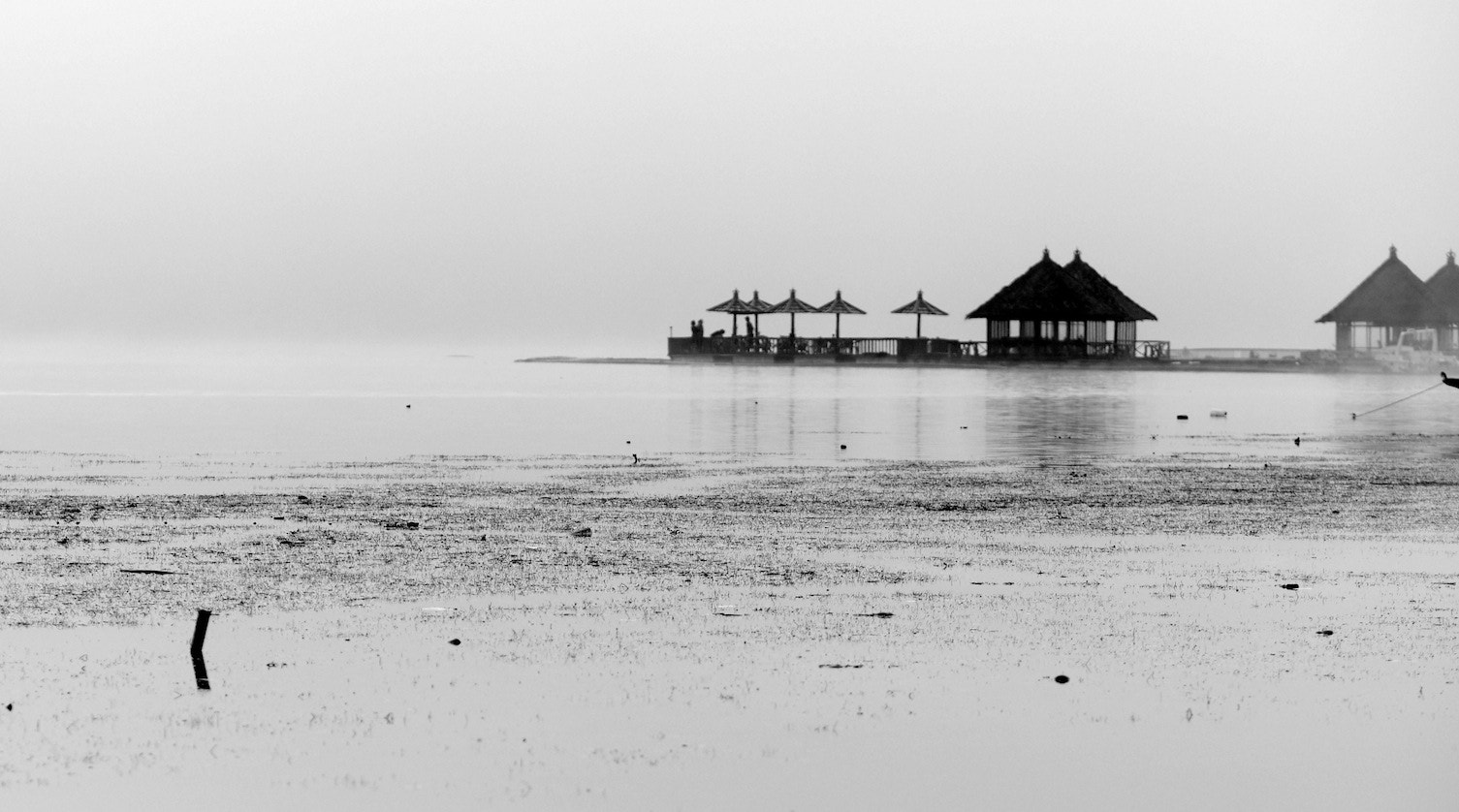 Panasonic Lumix DMC-GH4 + Olympus M.Zuiko Digital ED 75mm F1.8 sample photo. Lake batur 15 photography