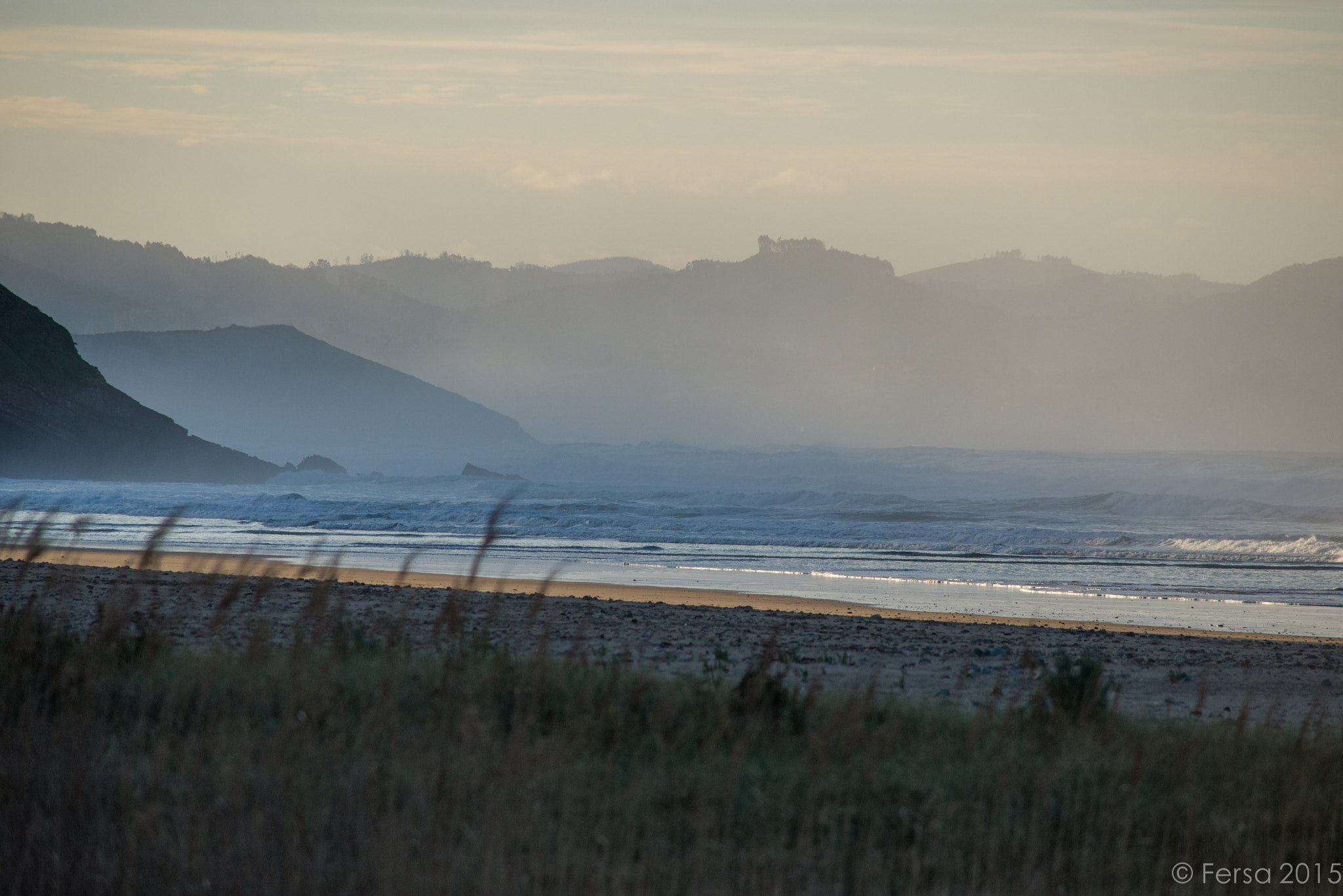 Nikon D600 + AF Nikkor 300mm f/4 IF-ED sample photo. Playa de vega photography