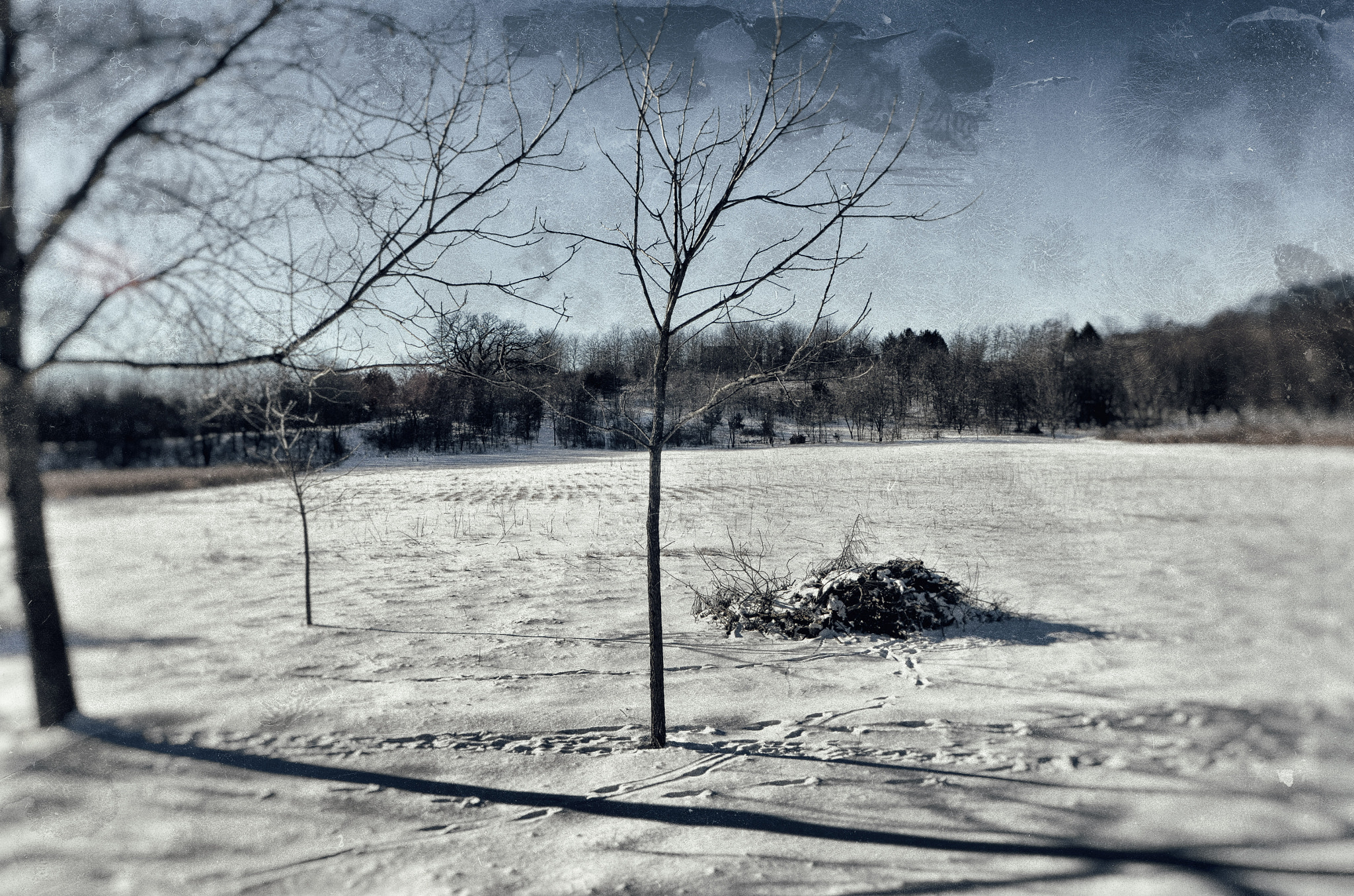 Sigma 17-35mm F2.8-4 EX Aspherical sample photo. The dead of winter photography