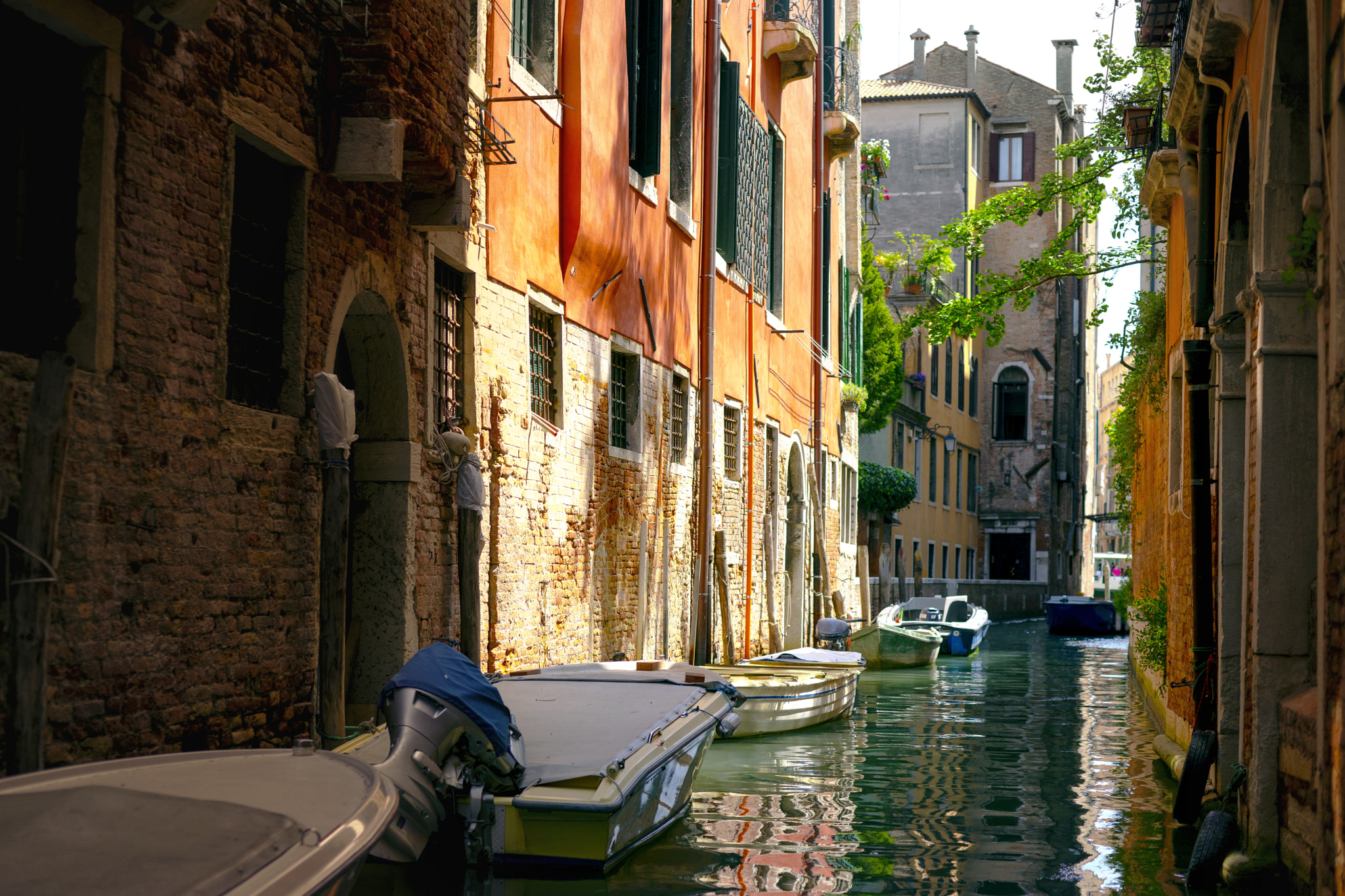 Sony a7 + Sony 50mm F1.4 sample photo. Italy venice photography