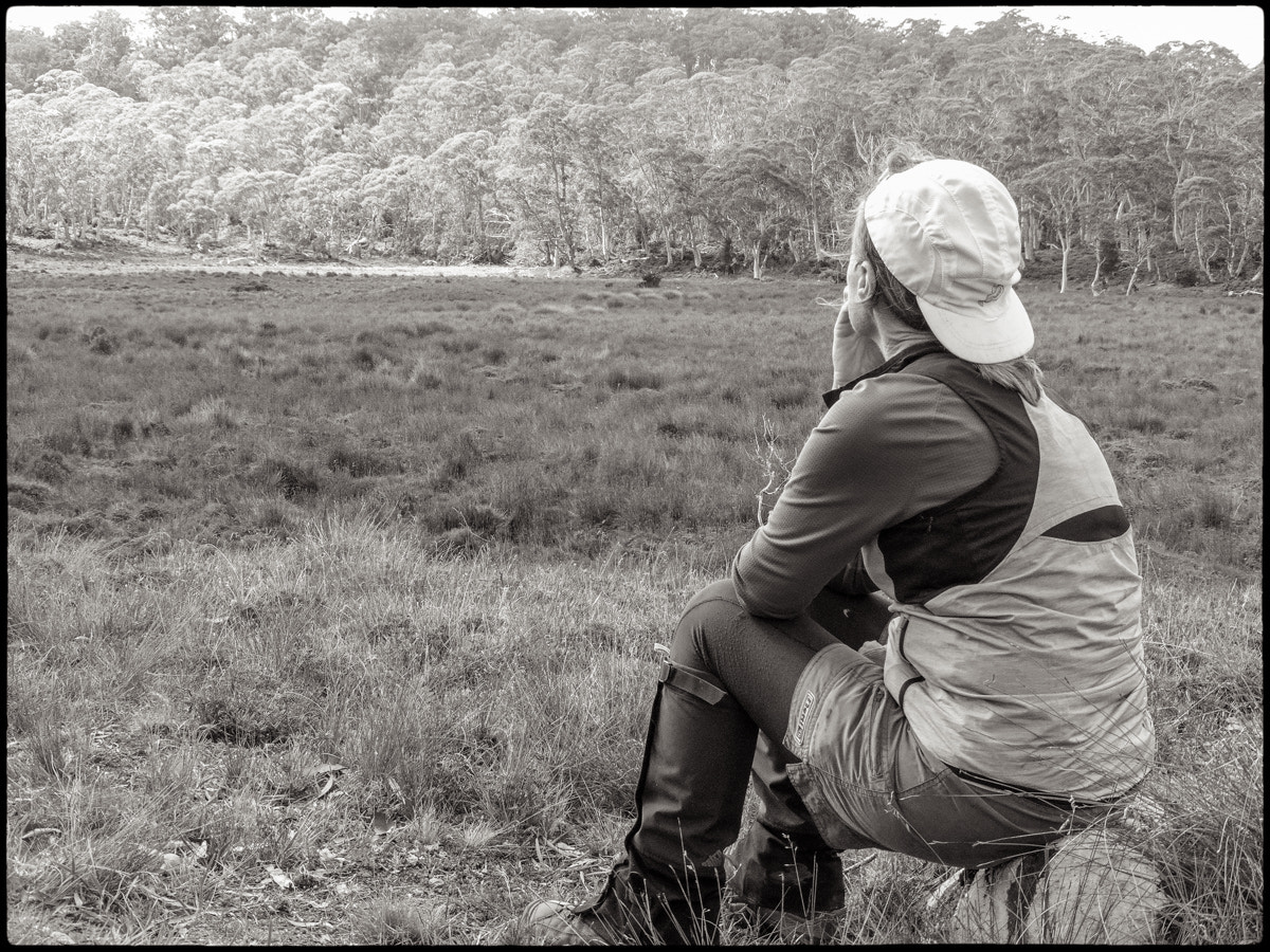 Panasonic DMC-ZS35 sample photo. Jane looking out on the pelion plain photography