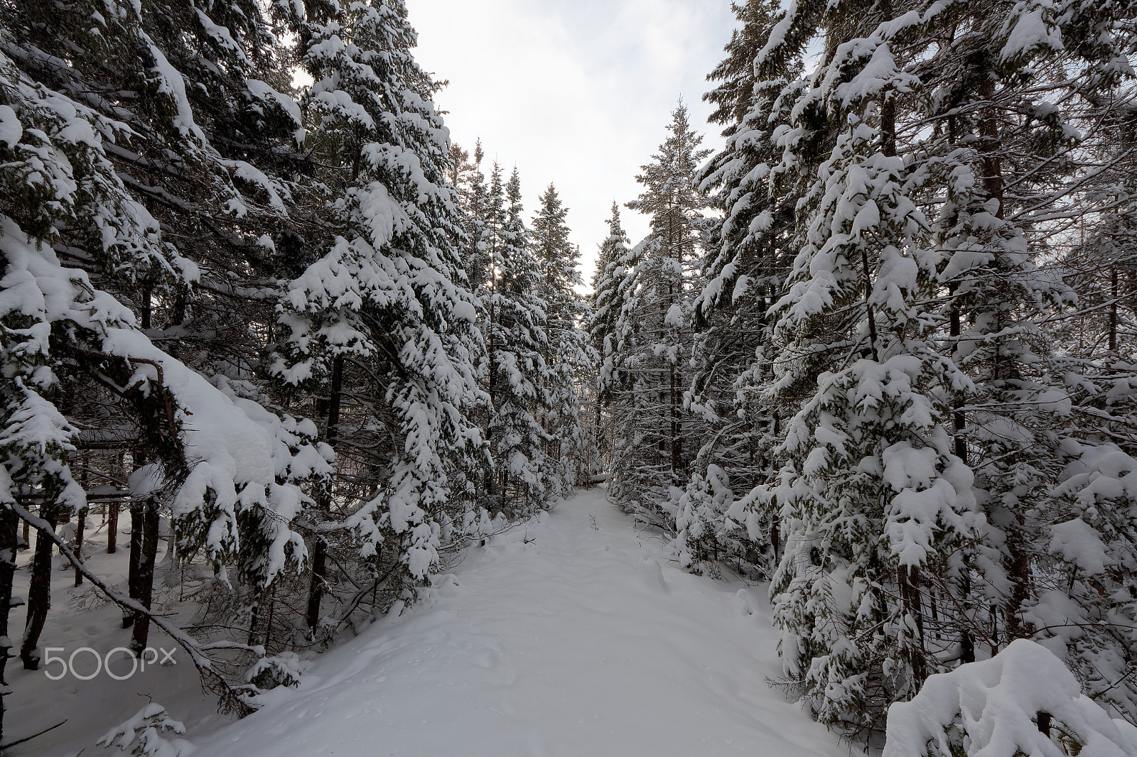 Sigma 8-16mm F4.5-5.6 DC HSM sample photo. Lac des roches 20160130 photography