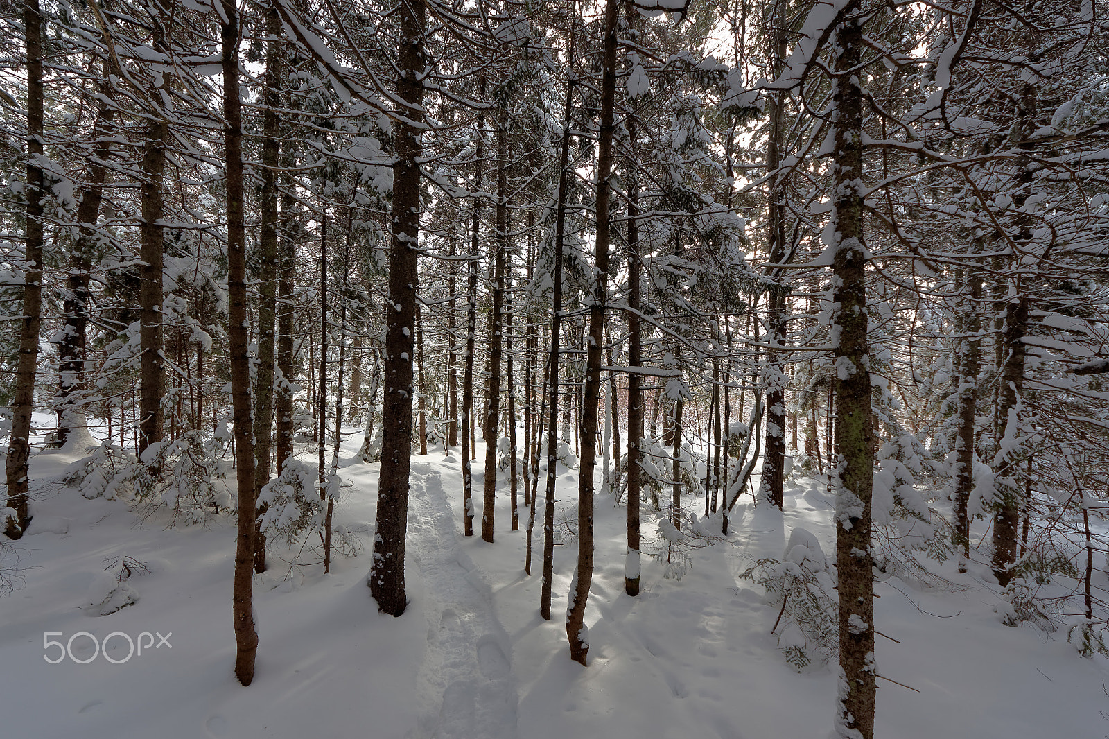 Sigma 8-16mm F4.5-5.6 DC HSM sample photo. Lac des roches 20160130 photography