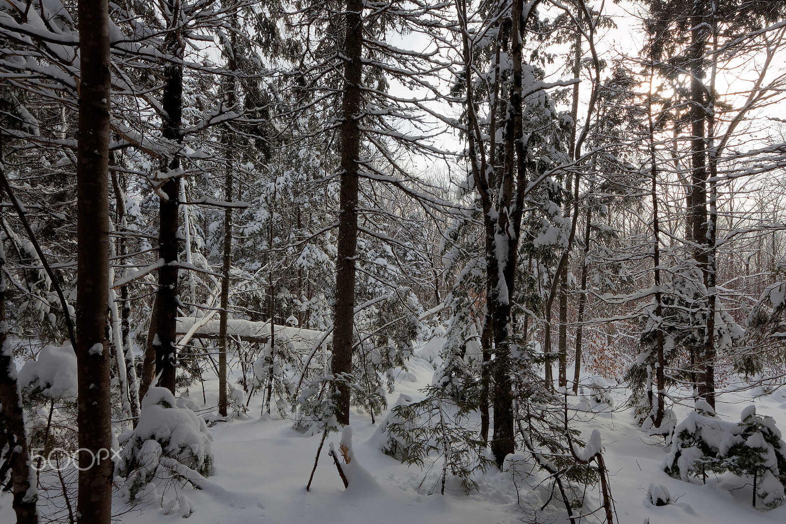 Sigma 8-16mm F4.5-5.6 DC HSM sample photo. Lac des roches 20160130 photography