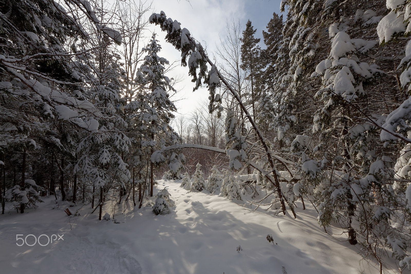 Sigma 8-16mm F4.5-5.6 DC HSM sample photo. Lac des roches 20160130 photography