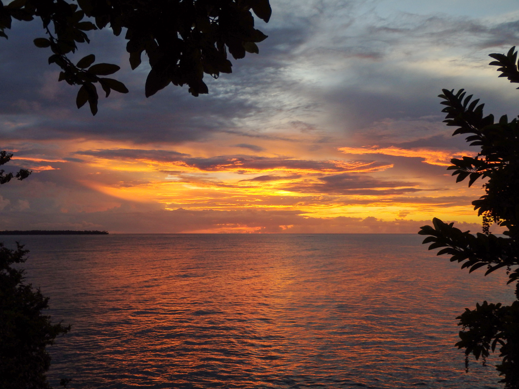Olympus TG-830 sample photo. Twilight cliff leaf frame photography