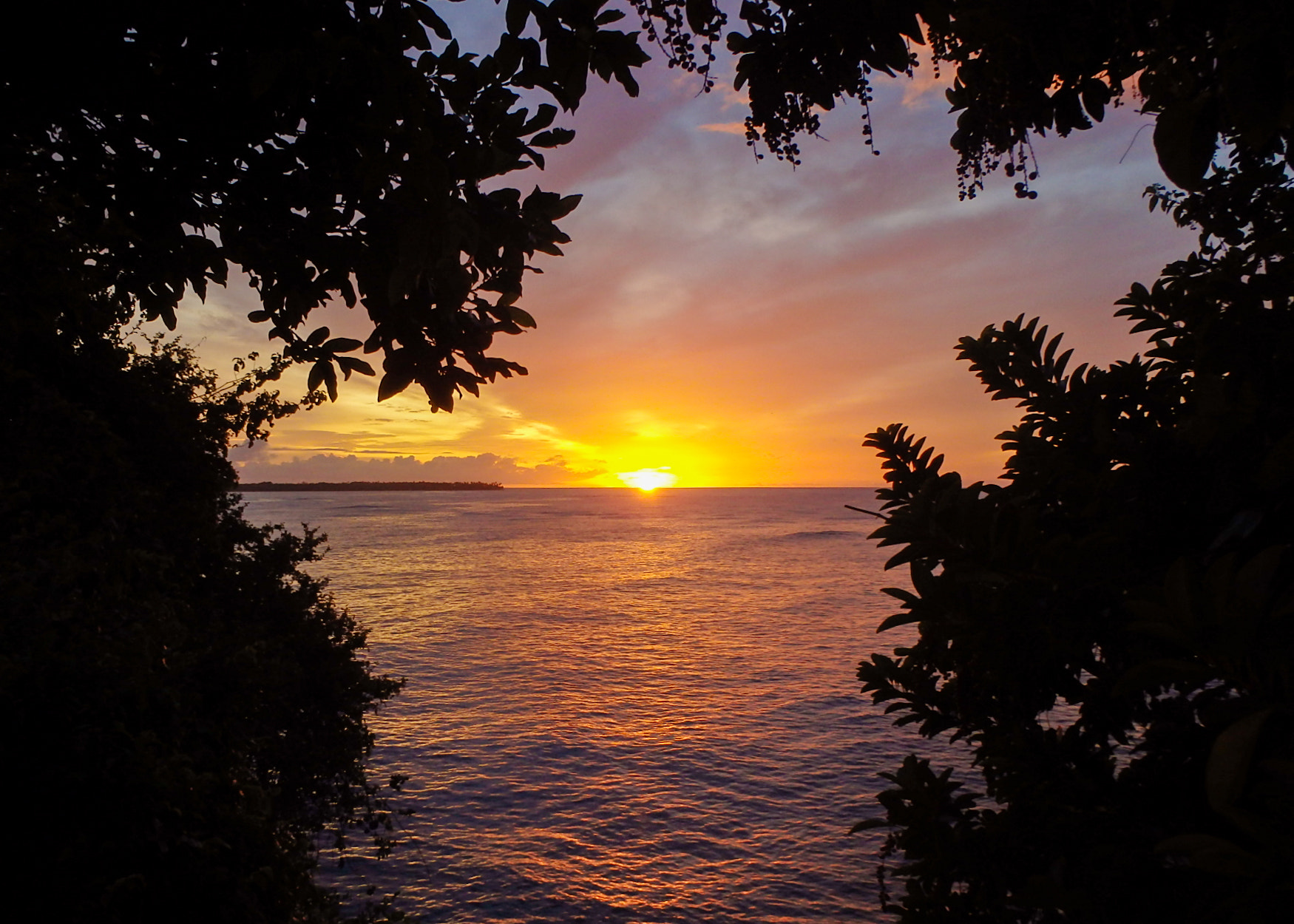 Olympus TG-830 sample photo. Sunset cliff leaf frame photography
