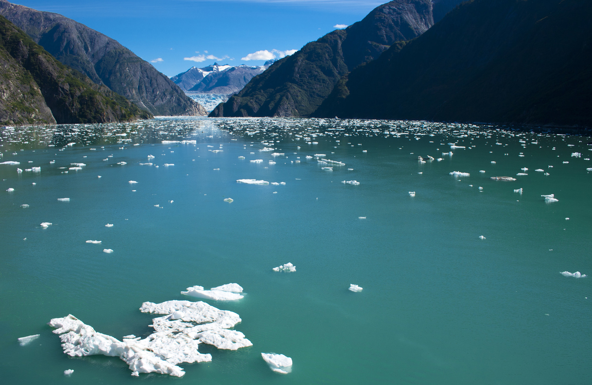 Canon EF-S 18-55mm f/3.5-5.6 USM sample photo. Floating ice in tracy arm photography