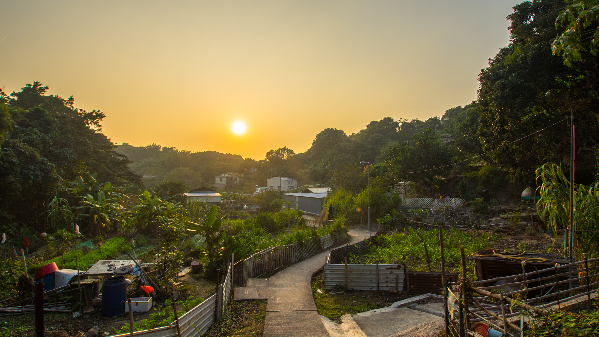 Sony a7R + Sony DT 11-18mm F4.5-5.6 sample photo. Hong kong gardens photography