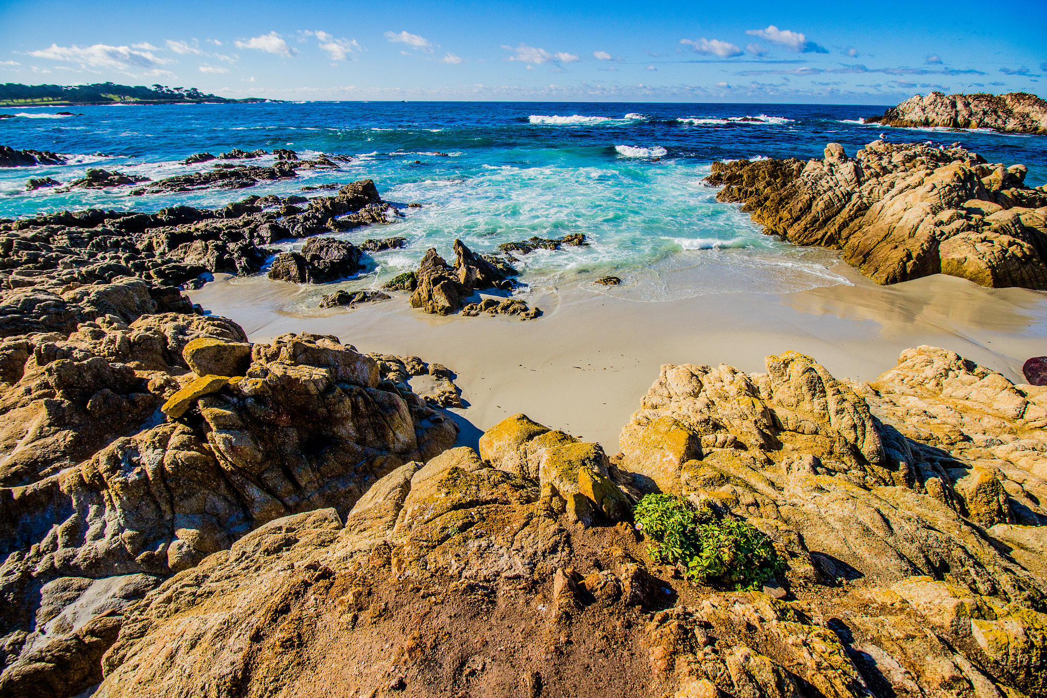 Canon EOS M sample photo. Pebble beach california photography