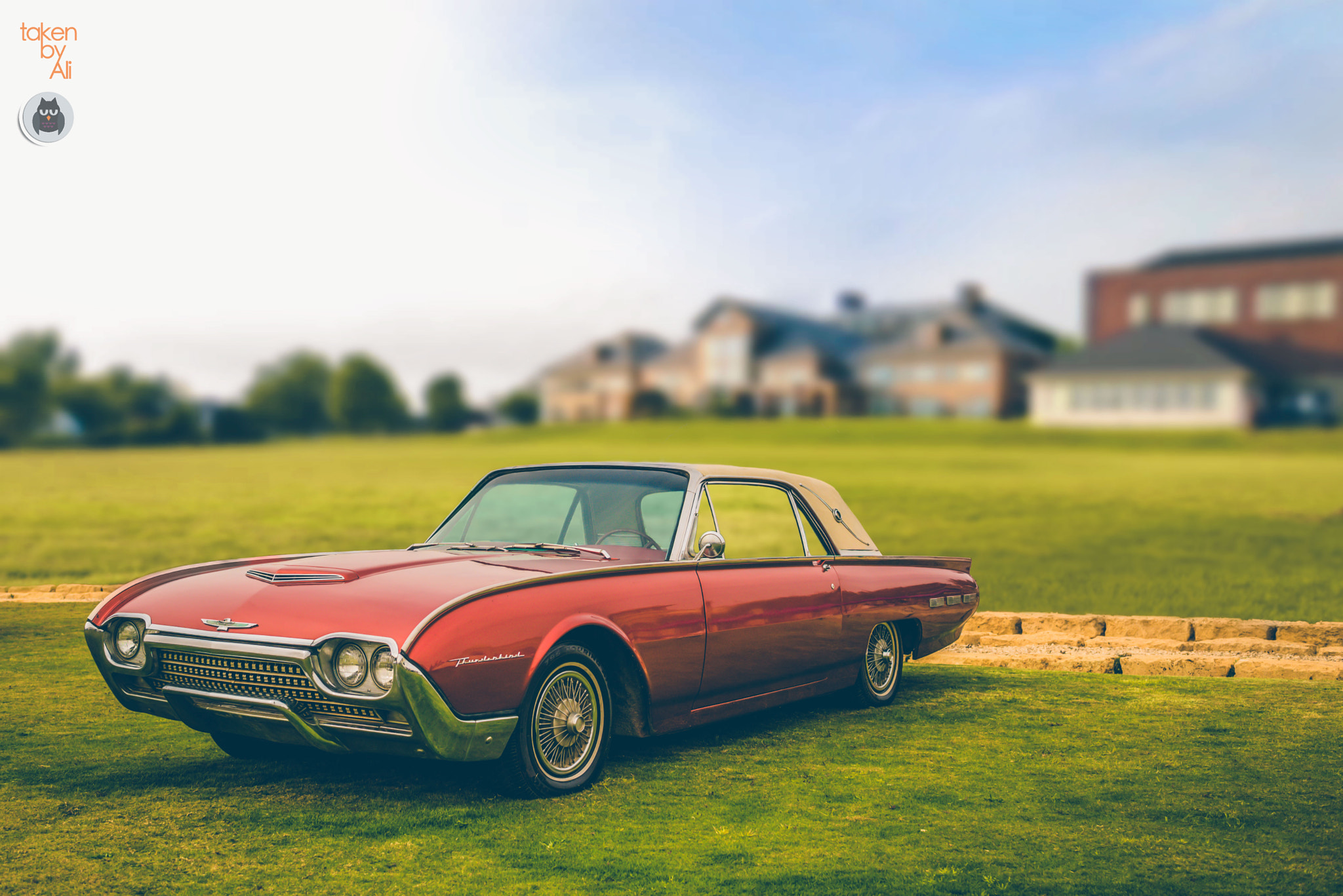 Nikon D610 + AF-S Nikkor 35mm f/1.8G sample photo. Clean vintage thunderbird photography