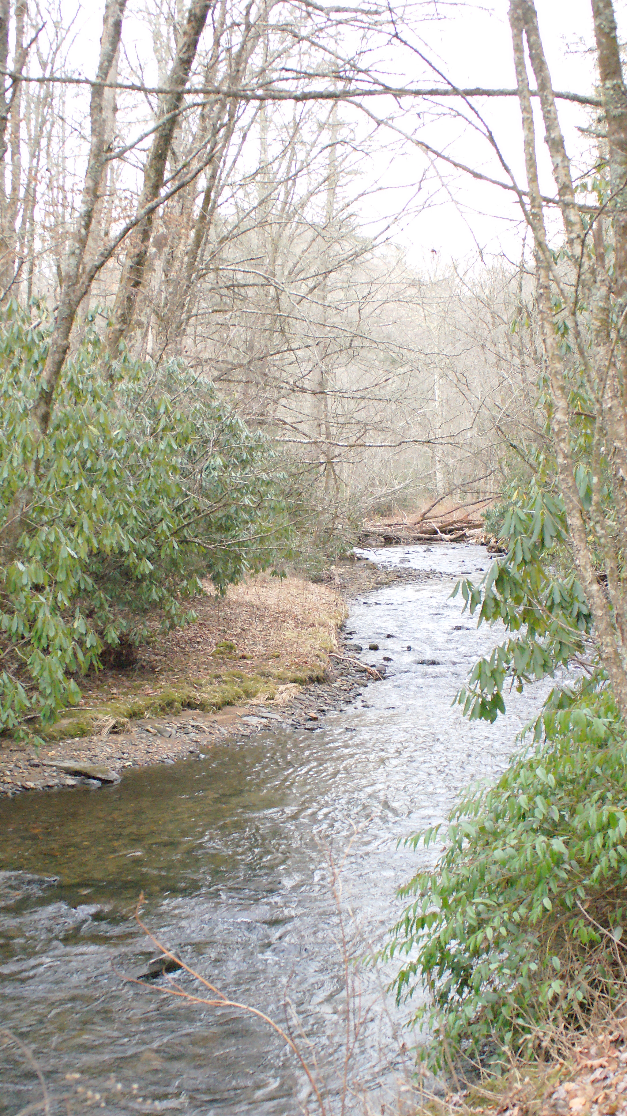 Minolta AF 28-100mm F3.5-5.6 (D) sample photo. Buck creek photography