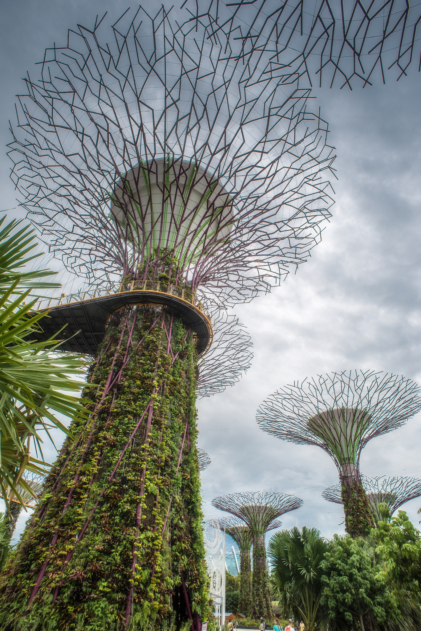 Nikon D600 + Nikon AF Nikkor 20mm F2.8D sample photo. Singapore photography