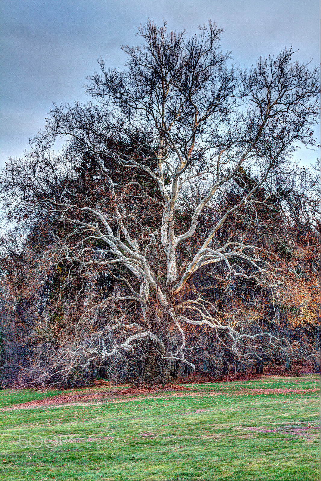 Canon EF 28-80mm f/3.5-5.6 USM sample photo. Lyndhurst castle new york photography