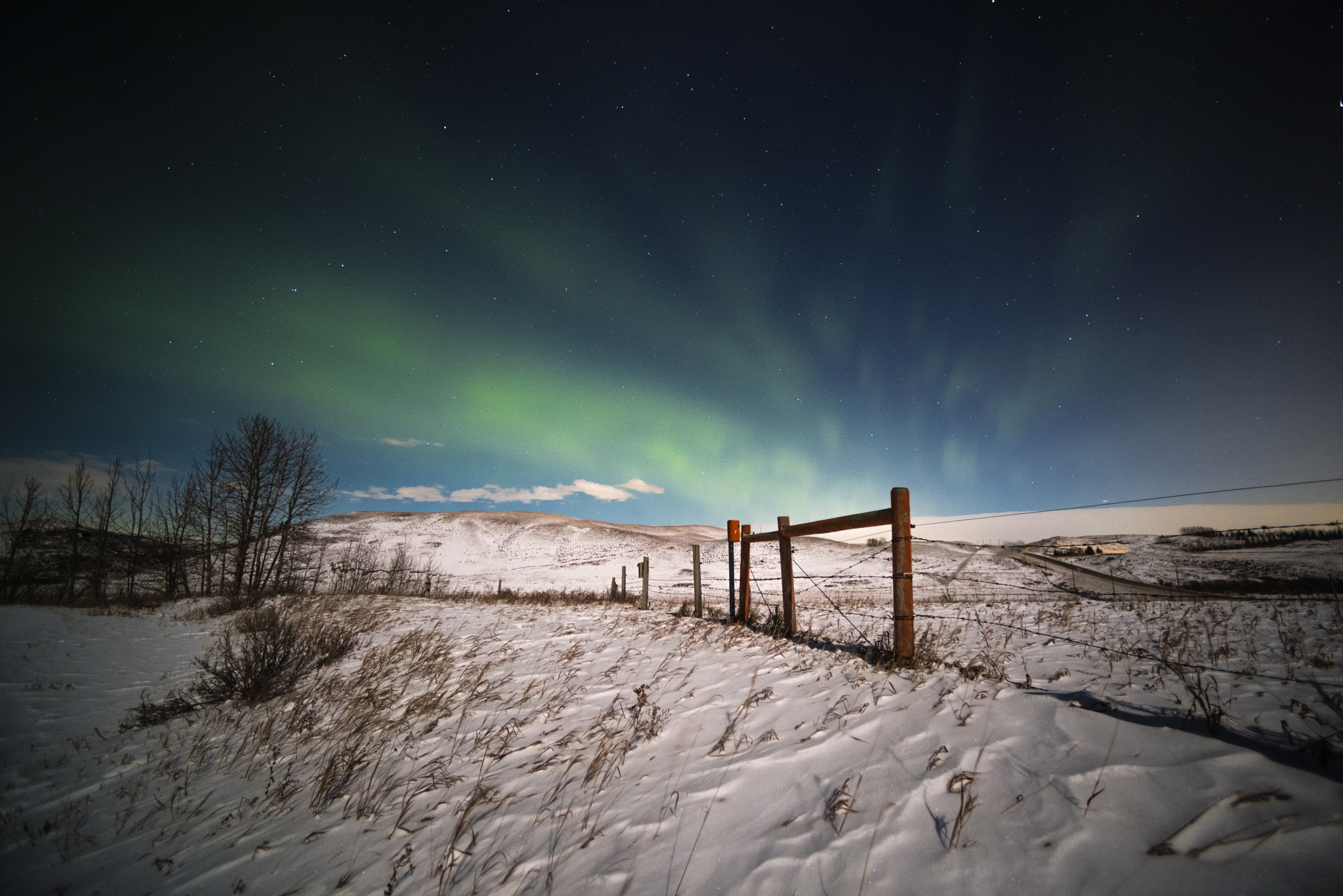 Nikon D810A + Nikon AF Nikkor 14mm F2.8D ED sample photo. Over the fence photography