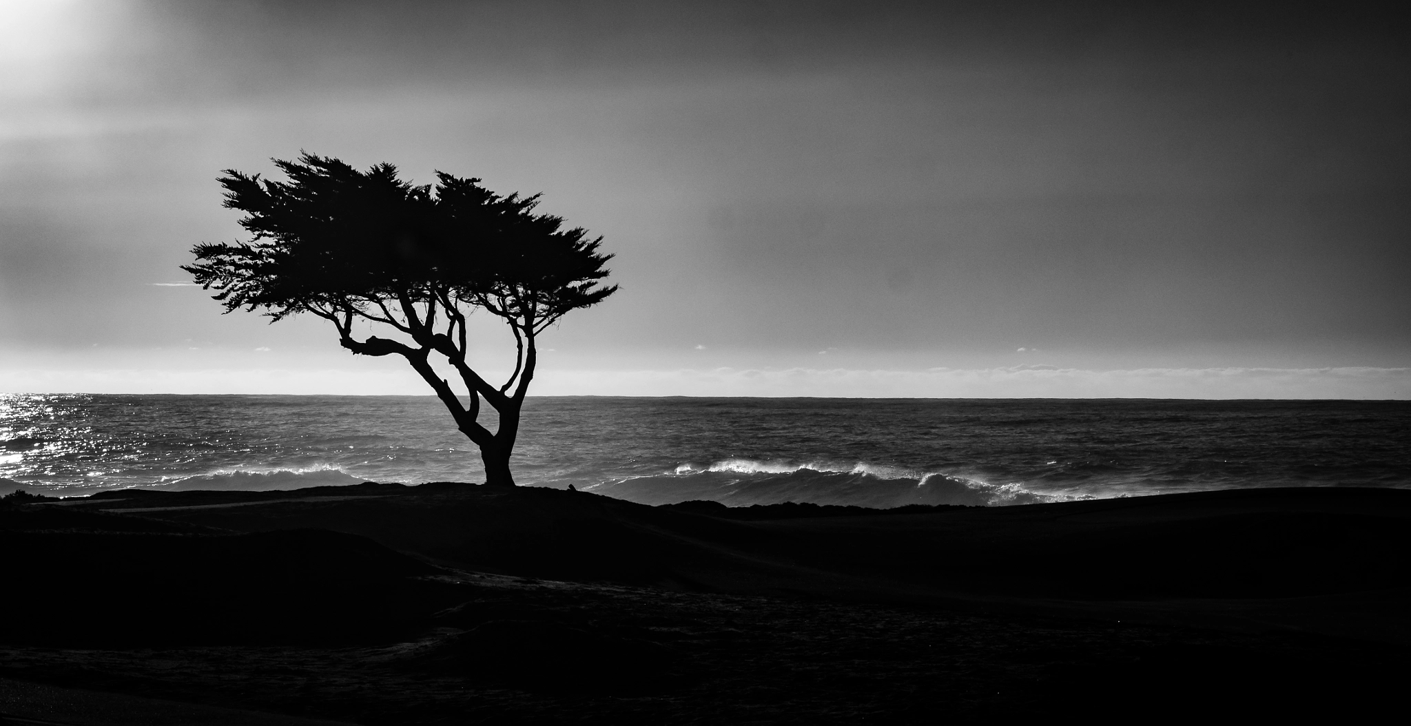 Panasonic Lumix G Vario 45-200mm F4-5.6 OIS sample photo. Lone tree photography