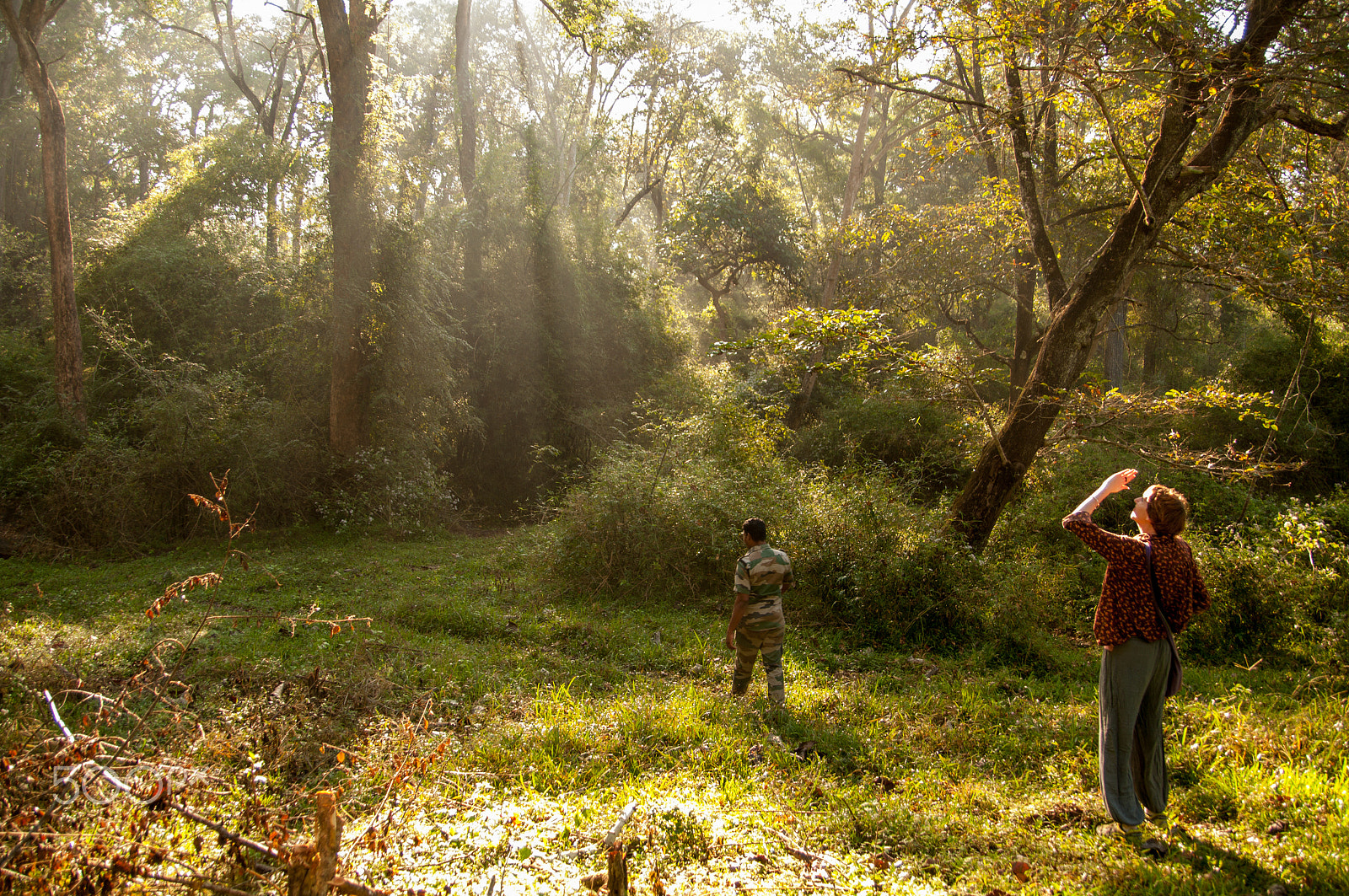 Pentax K-7 sample photo. Morning light photography