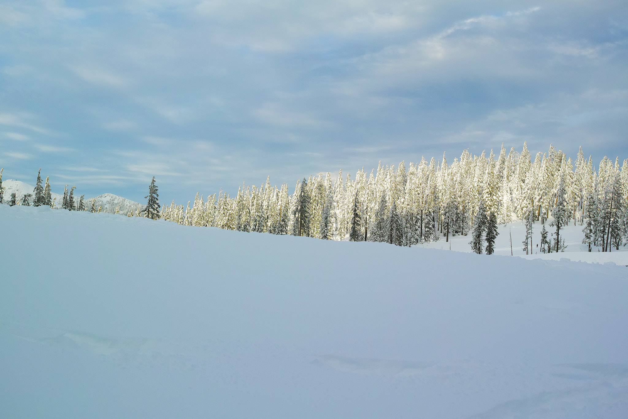 1007 sample photo. Winter light photography