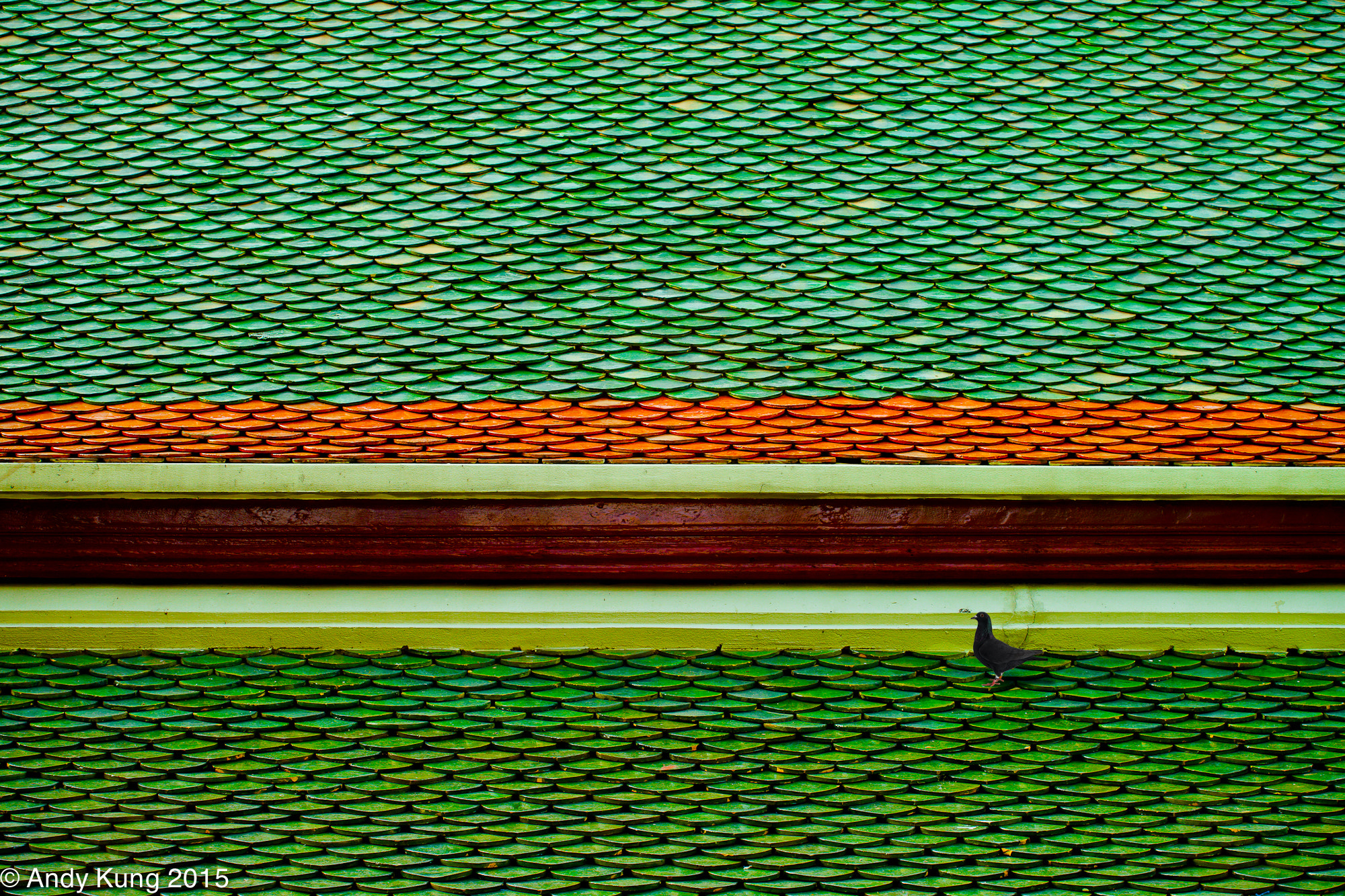 70-200mm F4 sample photo. Dsc01258.jpg photography