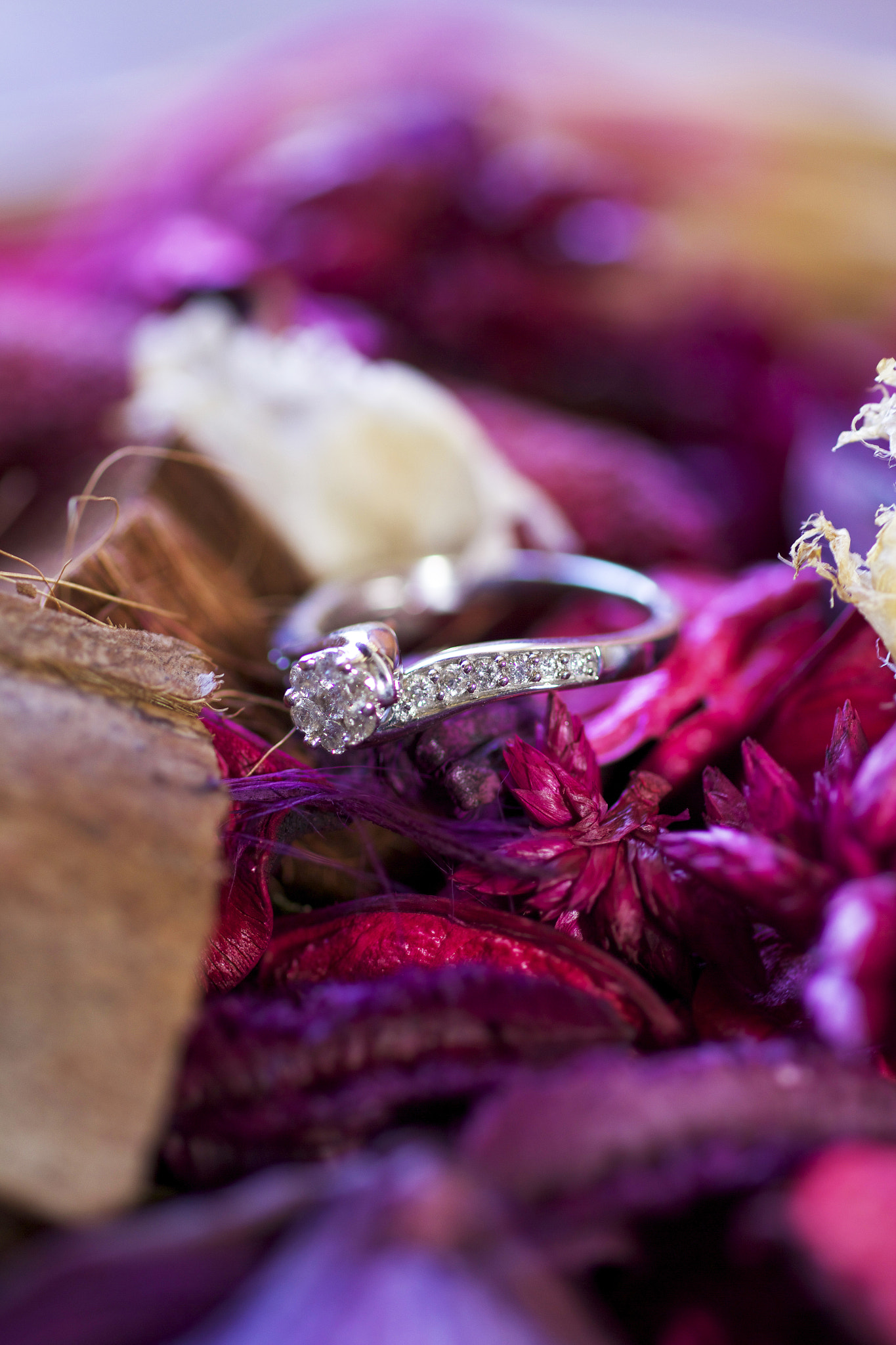 Sigma 50mm f/1.4 EX DG HSM + 1.4x sample photo. Wedding ring photography