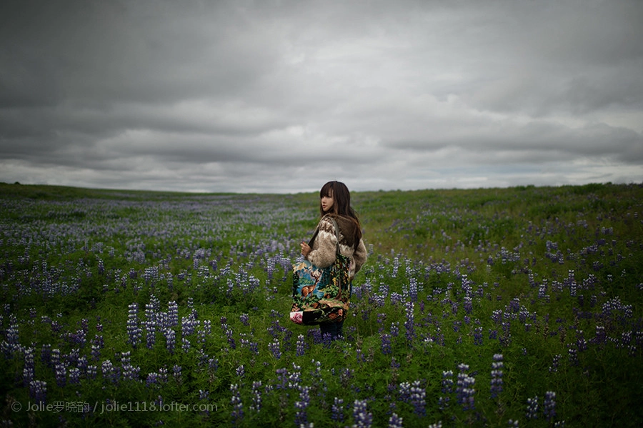 Nikon Df + Nikon AF-S Nikkor 35mm F1.4G sample photo.  冰岛的鲁冰花为了等它我花了一年的时间  photography