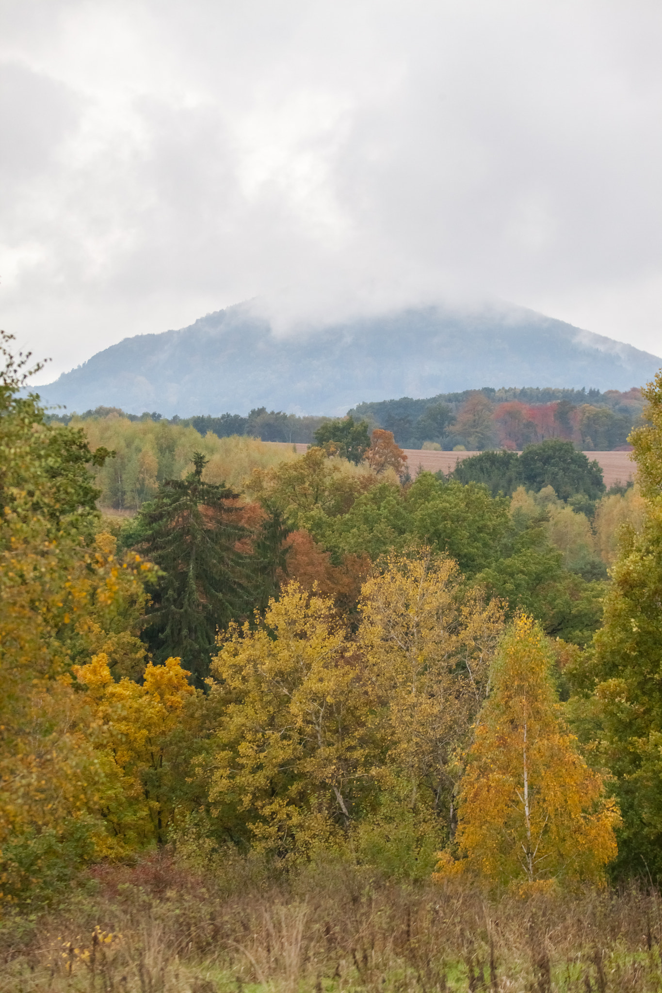 Canon EF 70-200mm F2.8L USM sample photo. Fall photography