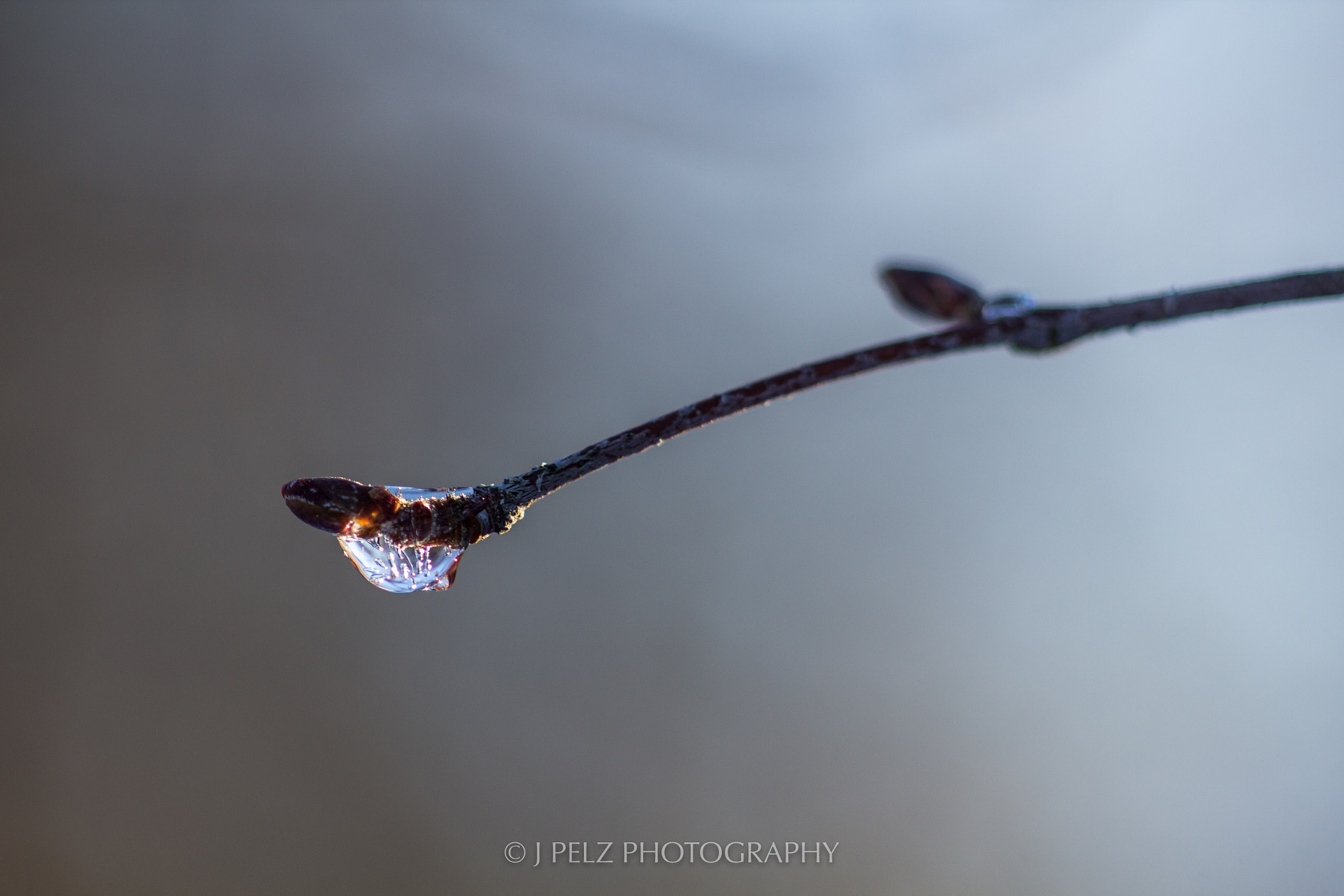 Canon EOS 60D + Canon EF 100mm F2.8 Macro USM sample photo. Waterdrop photography